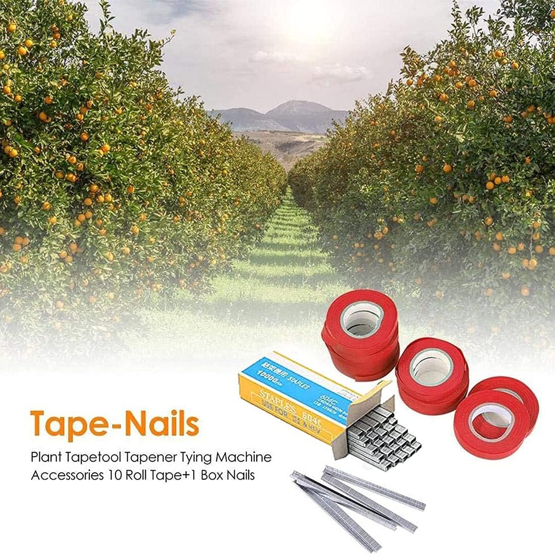 Legatrice per Piante con Nastro e Graffette - immagine 2