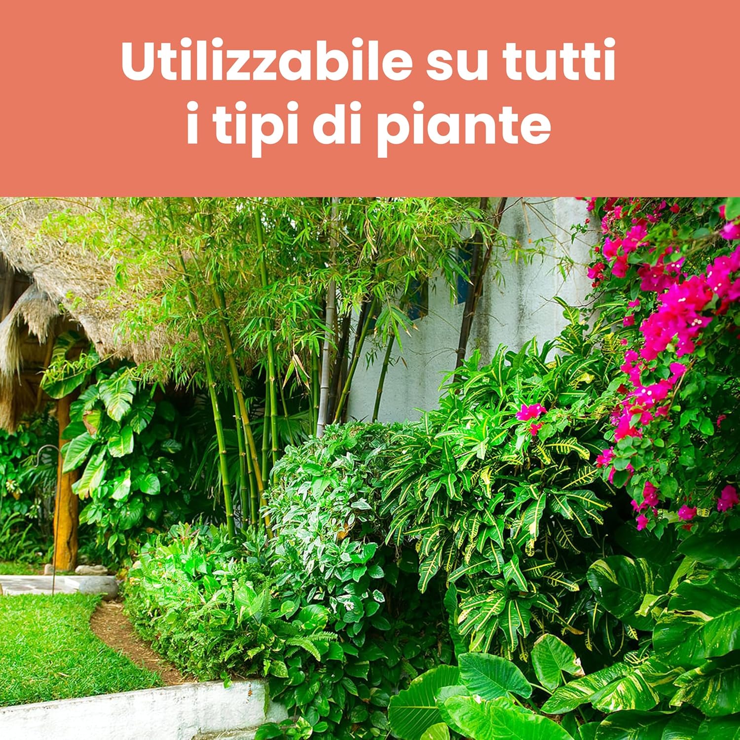 Lerava Ferro Chelato per Piante 200g - immagine 4