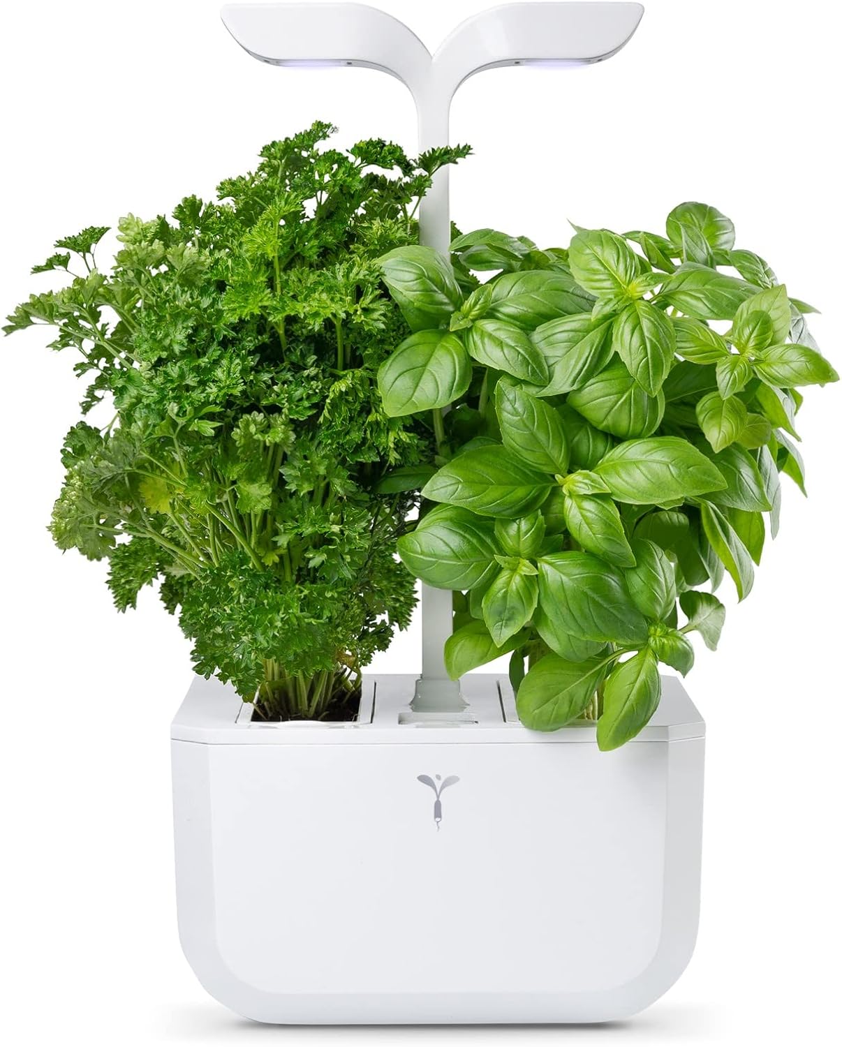 Véritable Exky® CLASSIC Orto da Interno, Bianco - immagine 1