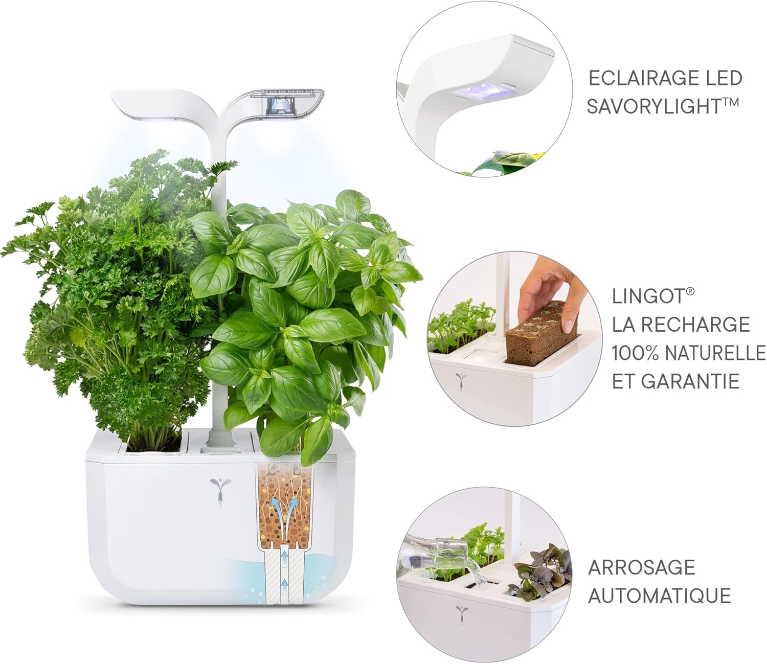 Véritable Exky® CLASSIC Orto da Interno, Bianco - immagine 3