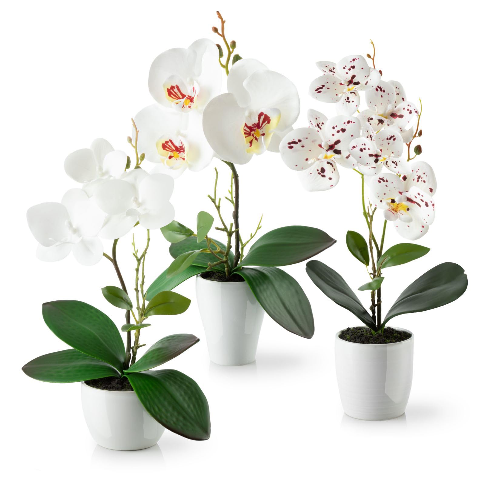 Pasch® Fiori Artificiali in Vaso - Set 3 Orchidee
