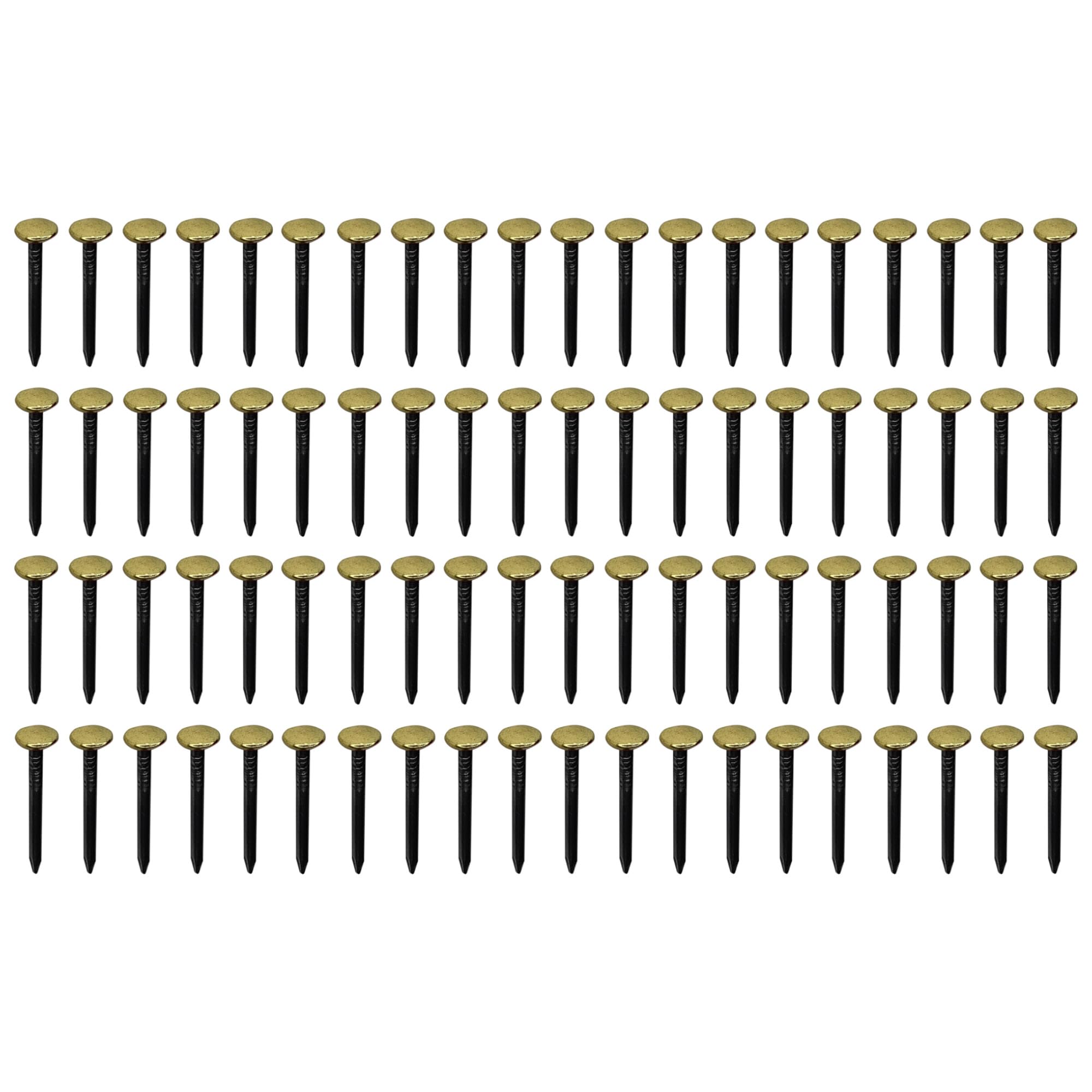 cyclingcolors Chiodi in Acciaio Testa Larga Ottone 2x20mm