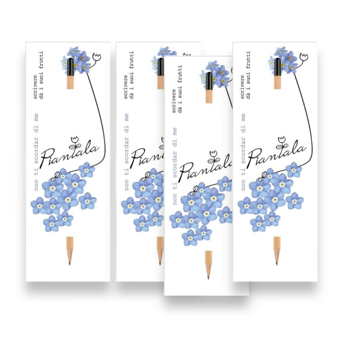 VALUE PACK 4 PEZZI: Semi Piantabili + Matite + Cartoncini