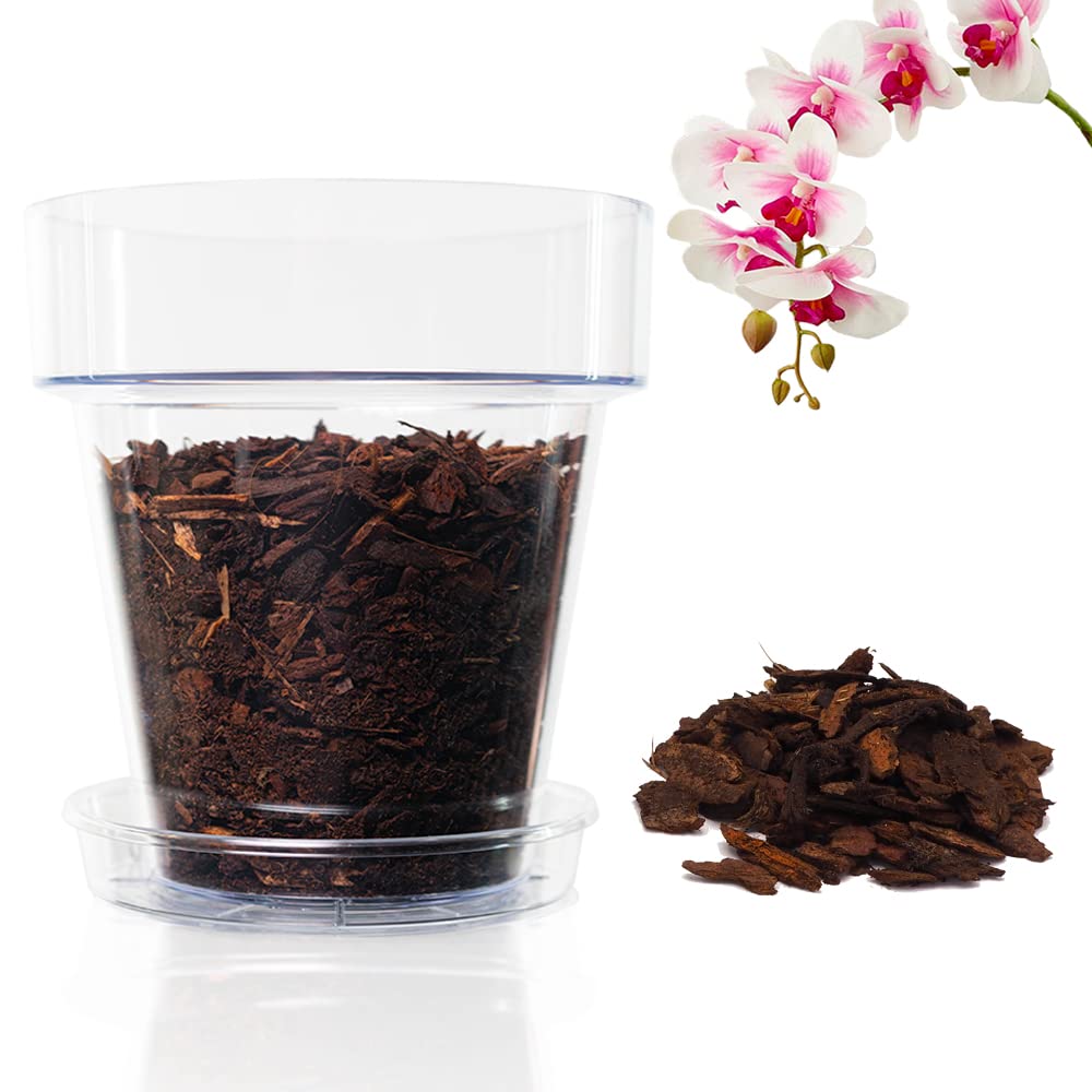 Kalapanta Kit Rinvaso Orchidee - Vasi Ø 16cm e Terriccio 2L