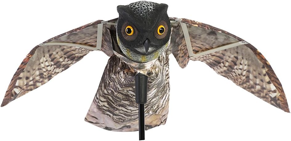 Pilipane Gufo Predatore Realistico con Ala Mobile - immagine 1