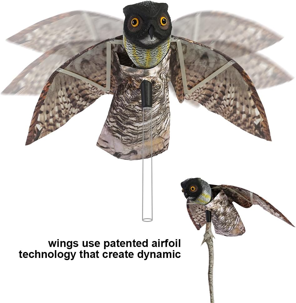 Pilipane Gufo Predatore Realistico con Ala Mobile - immagine 3