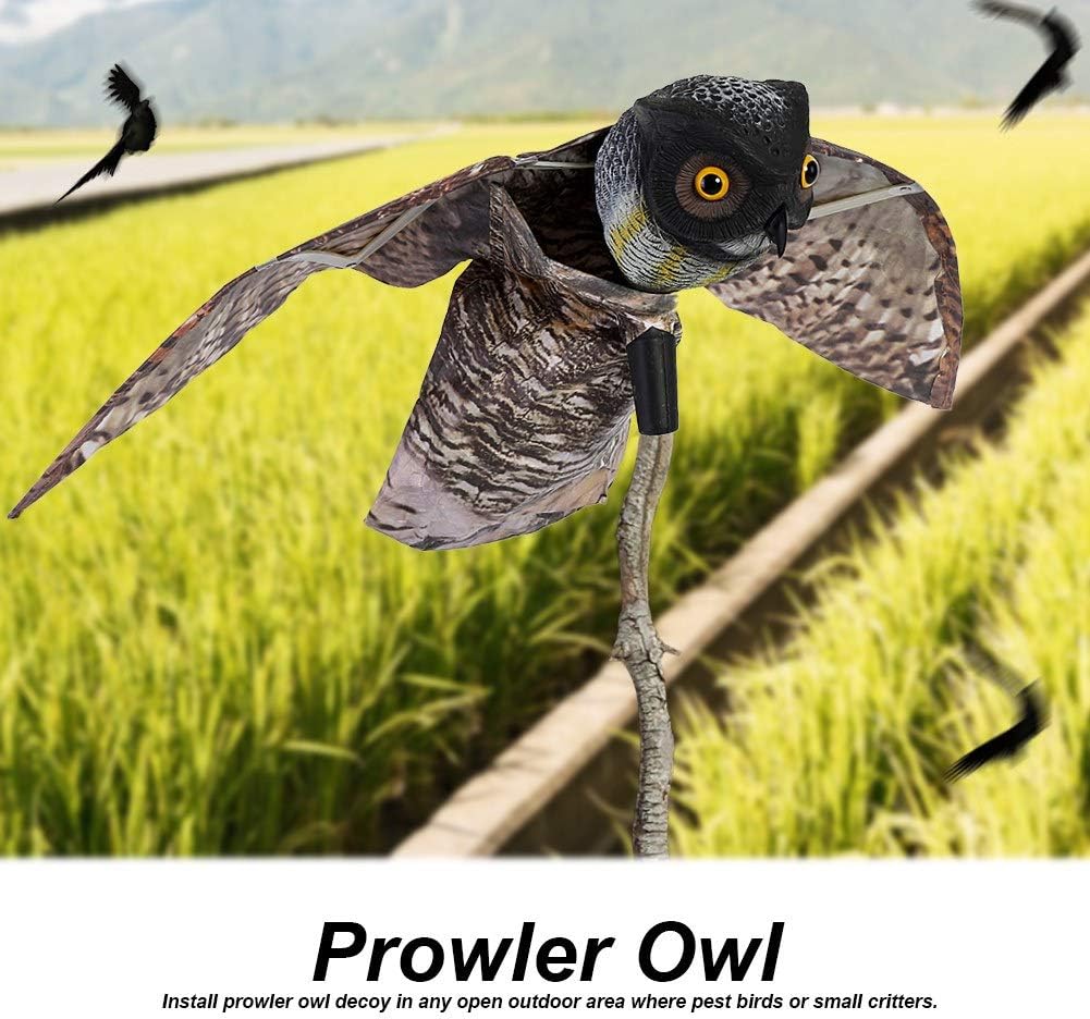 Pilipane Gufo Predatore Realistico con Ala Mobile - immagine 4