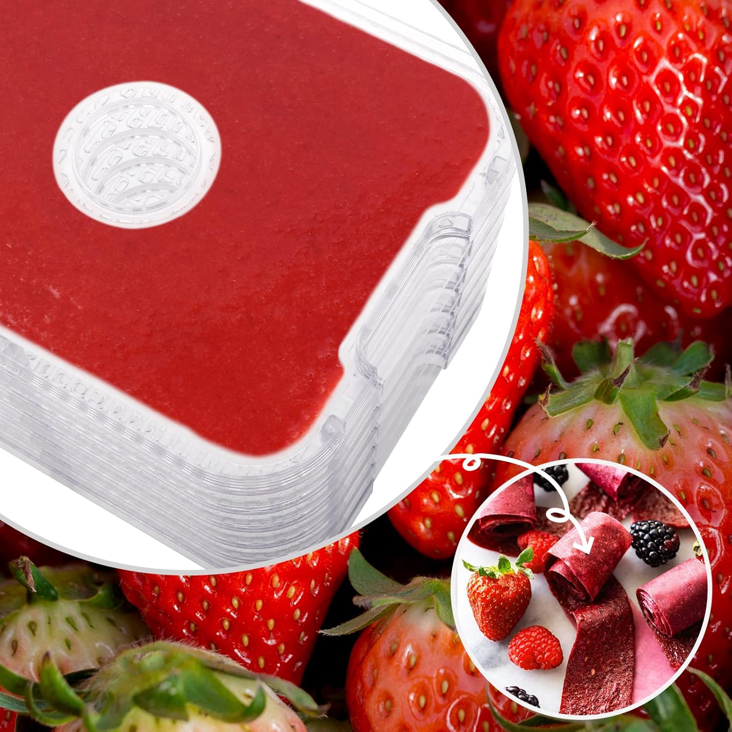 Essiccatore Alimentare 8 Piani 400W - immagine 8