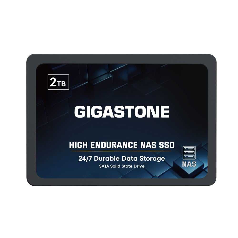 Gigastone Enterprise SSD 2TB NAS Cache 24/7
