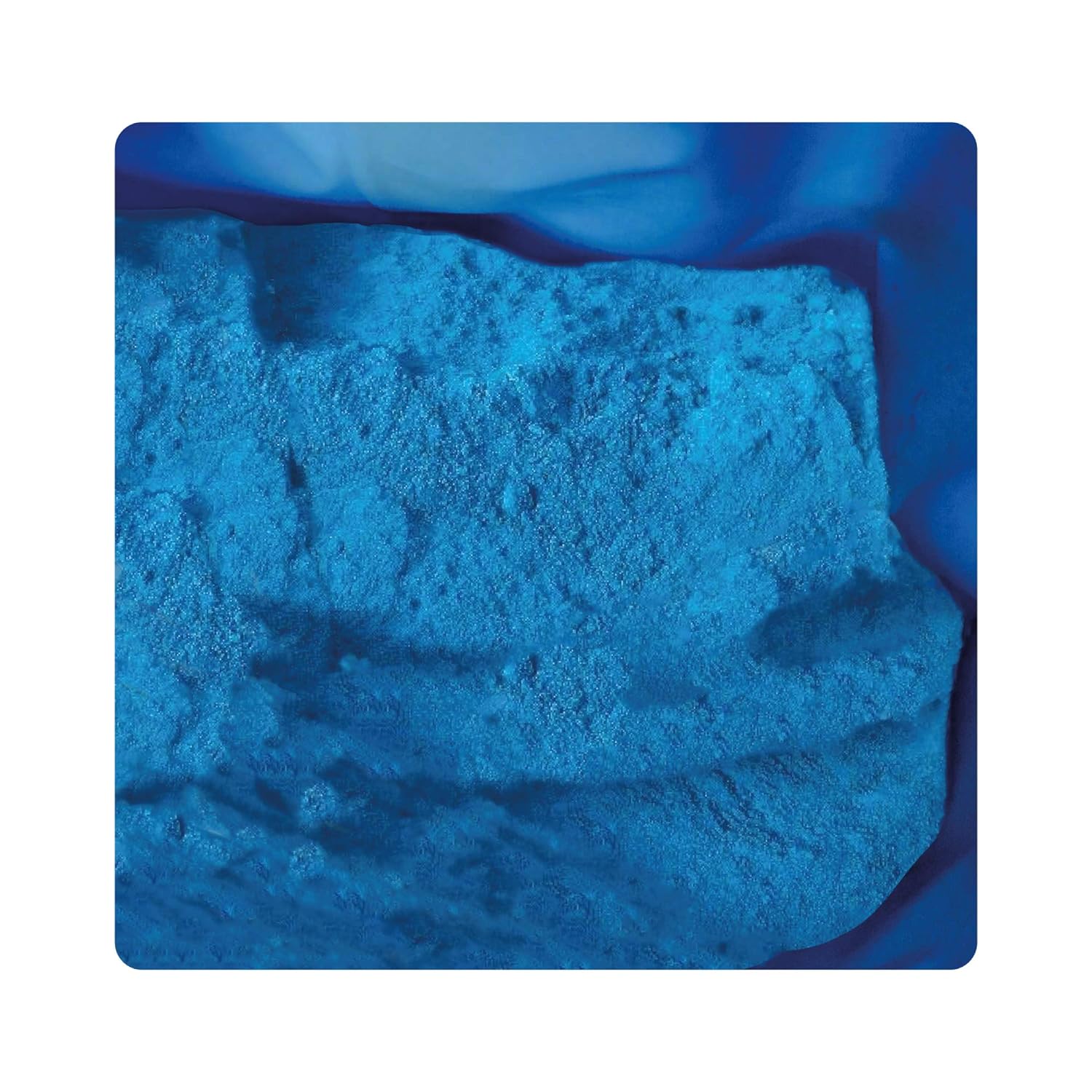 Albagarden Polti20 Bordolese Biologico 1 Kg - immagine 5