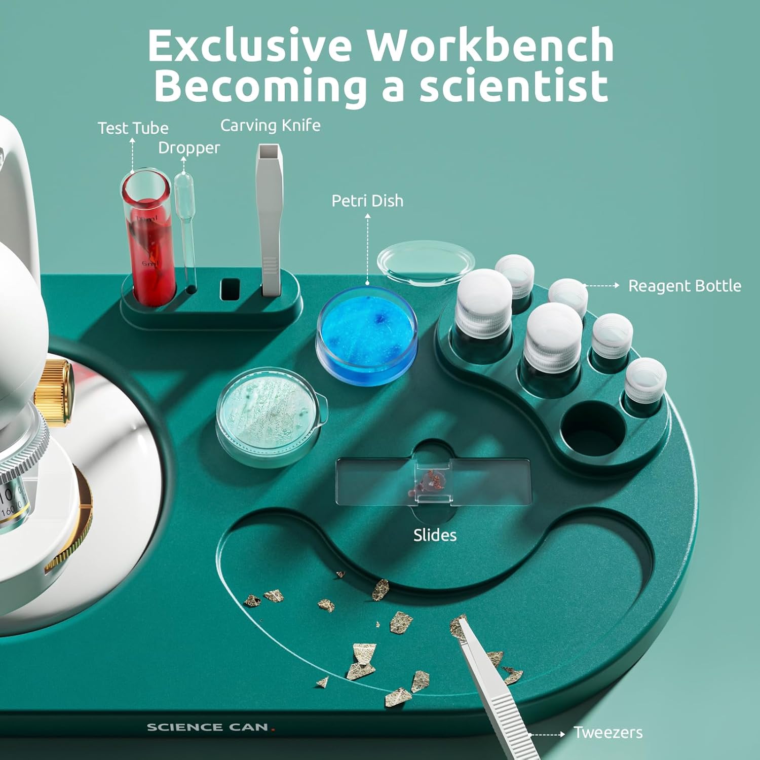 Science Can Microscopio per Bambini 40X-1600X LED - immagine 2