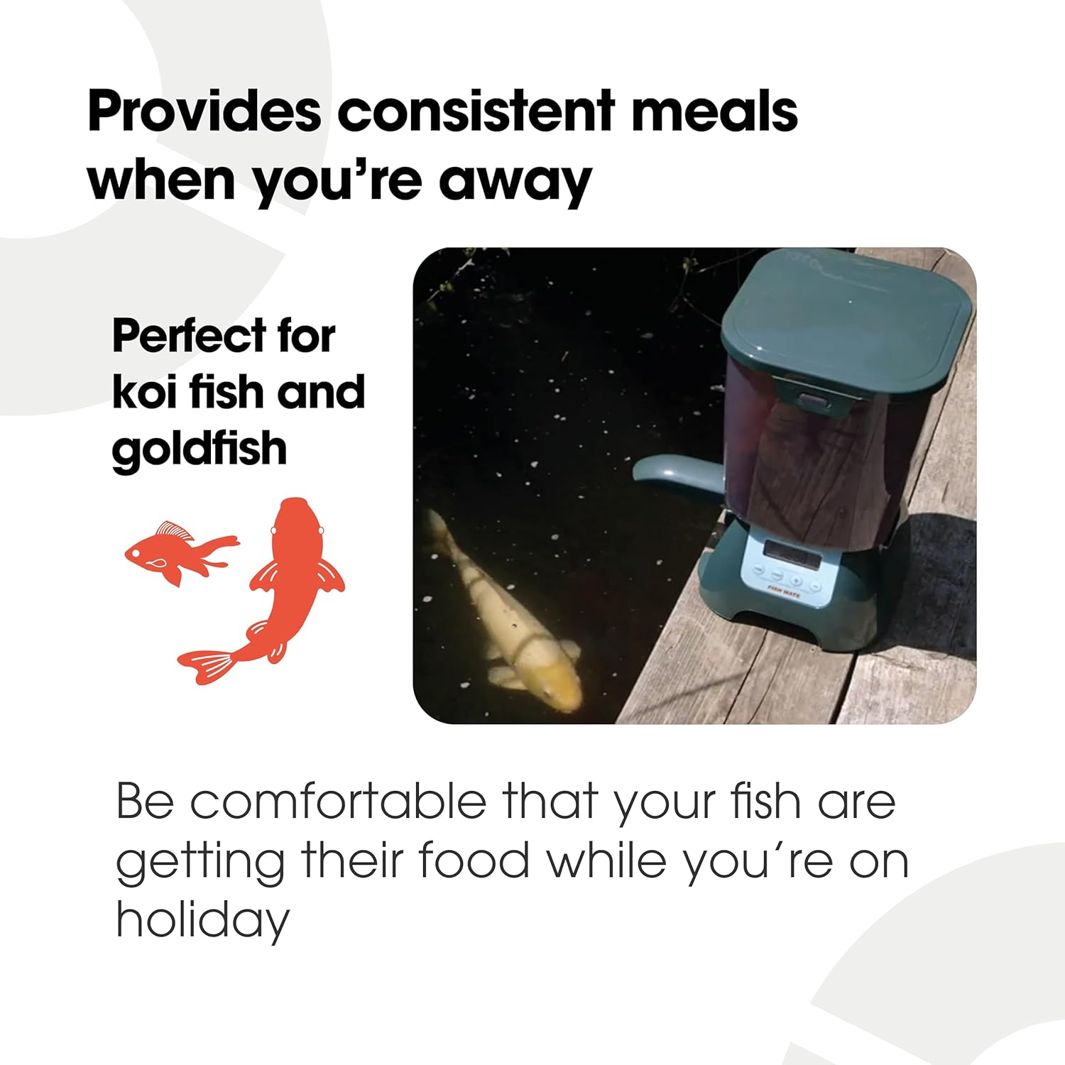 P7000 Pond Fish Feeder - immagine 4