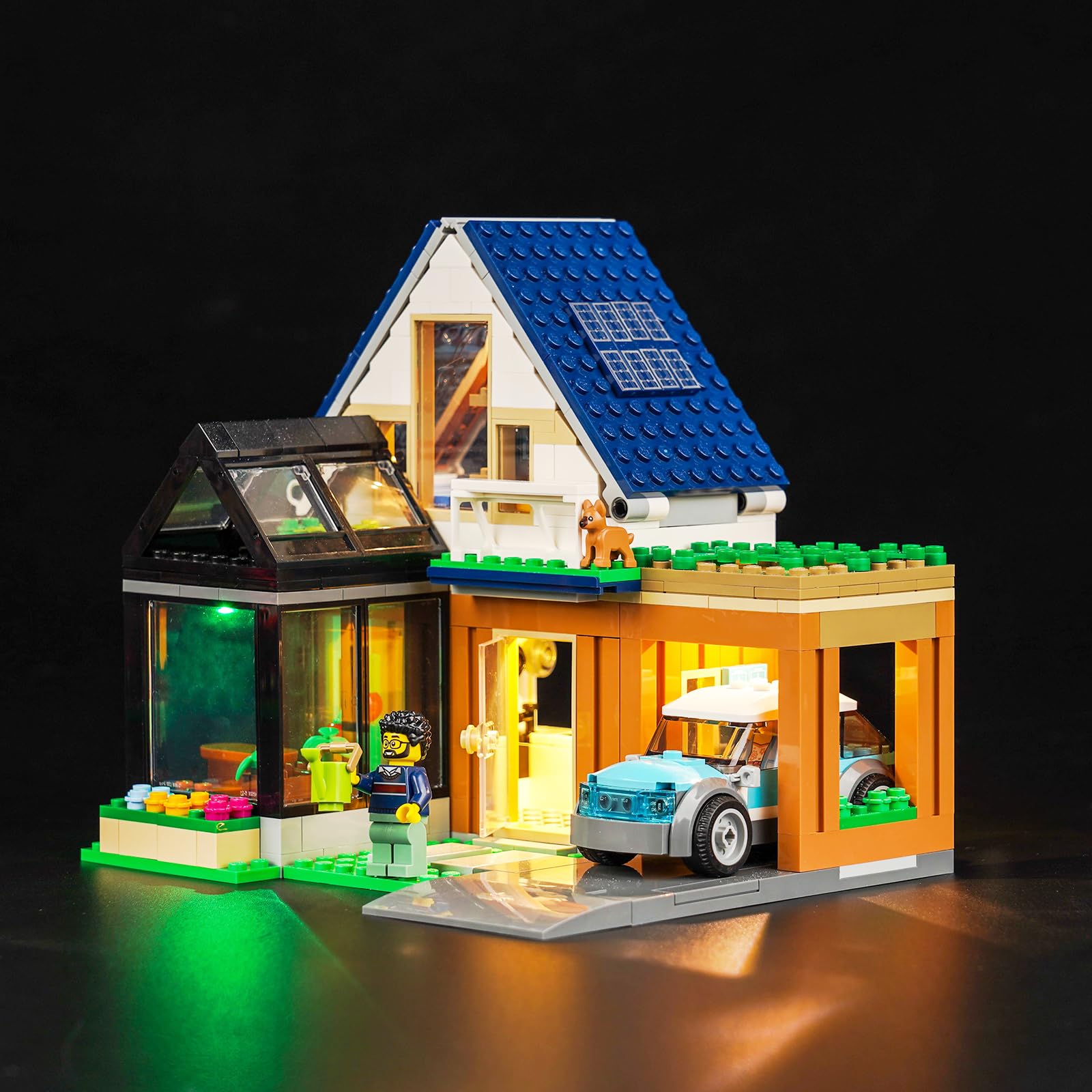 60398 Family House and Electric Car