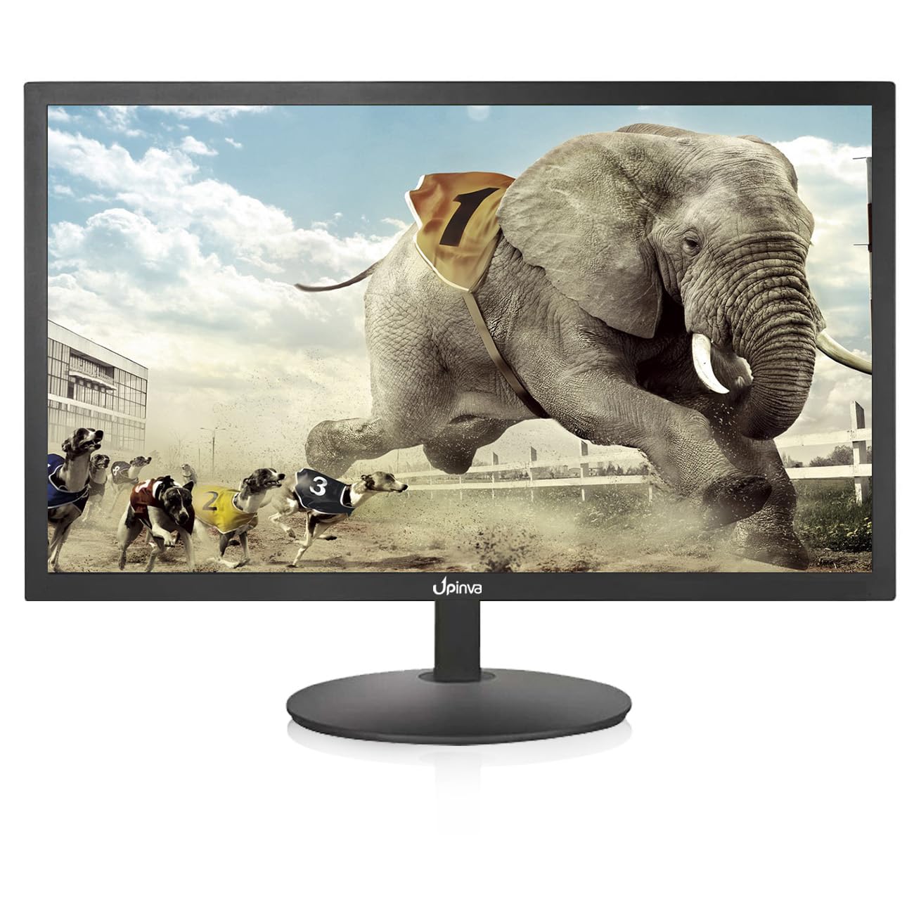 Upinva Monitor di Sorveglianza 19" 1440x900