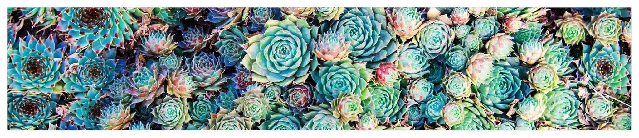 Passatoia da Cucina Antimacchia Antiscivolo Lavabile 280x52 cm