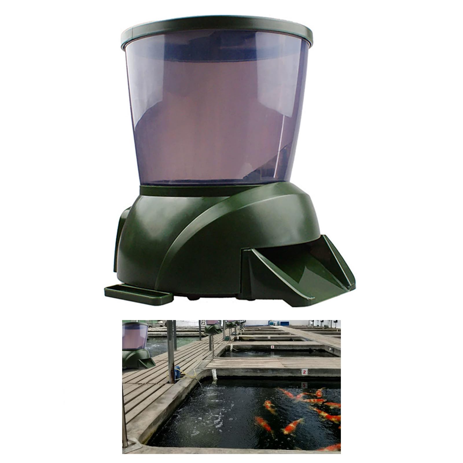 Afgssm 4.5L Pond Fish Feeder - Mangiatoia automatica