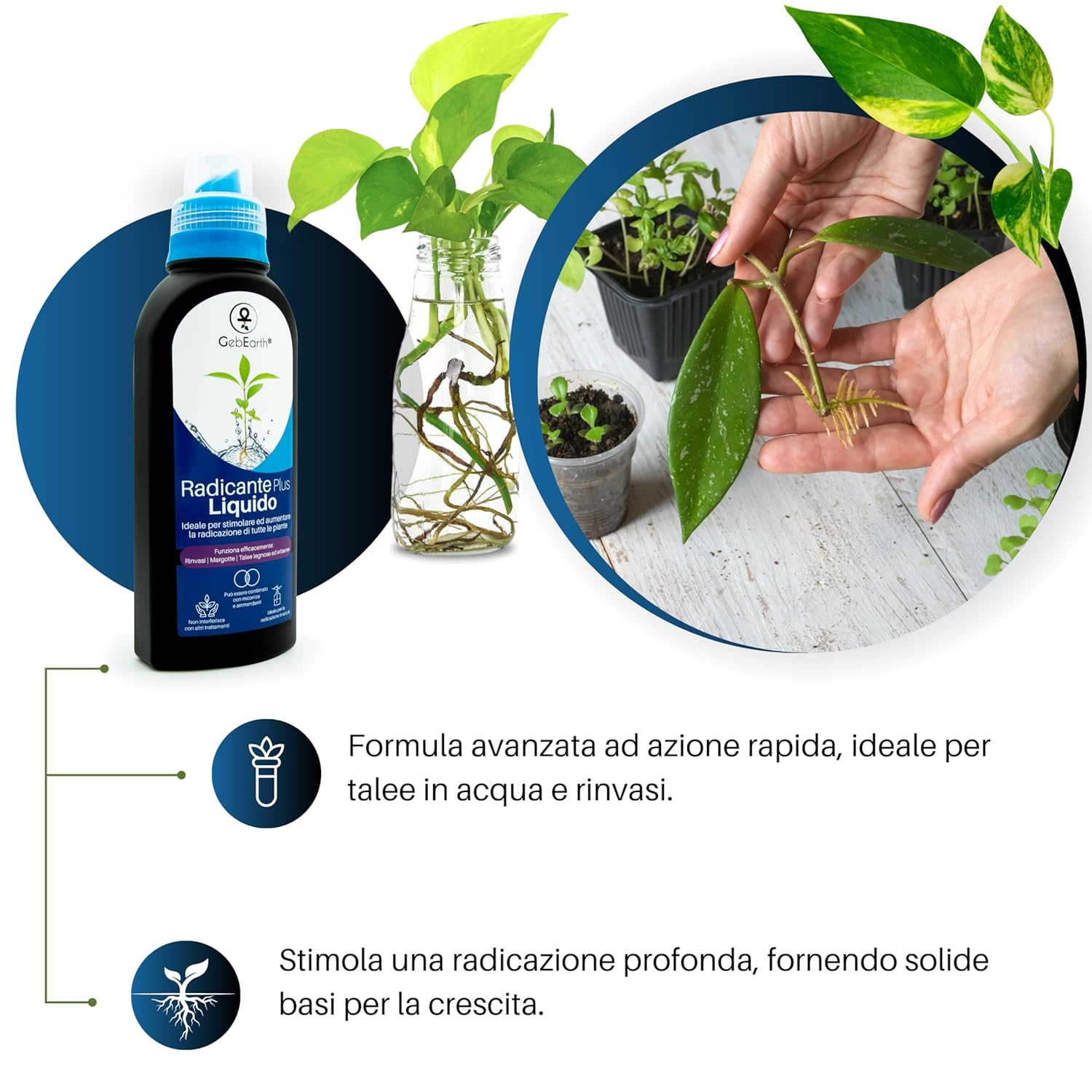 Gebearth® Radicante Liquido Plus 500 ML - immagine 2