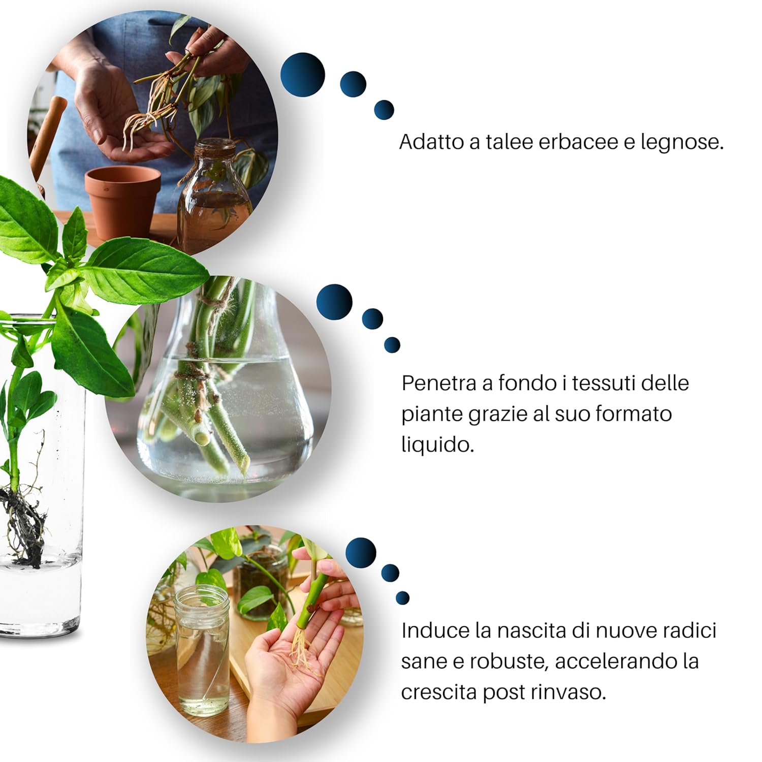 Gebearth® Radicante Liquido Plus 500 ML - immagine 3