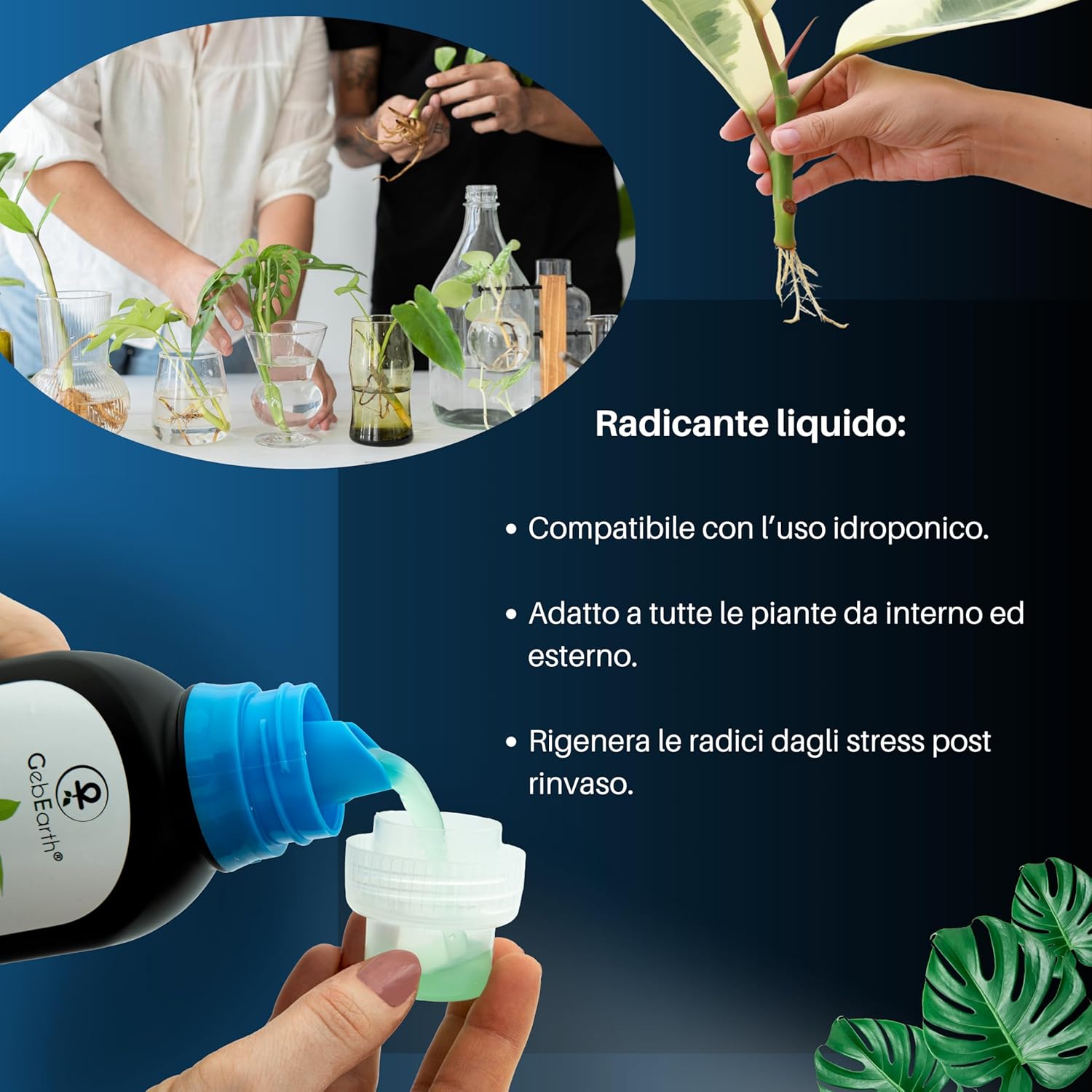 Gebearth® Radicante Liquido Plus 500 ML - immagine 4