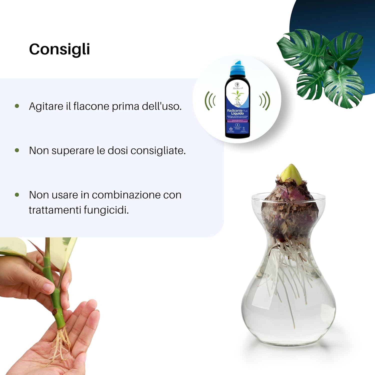 Gebearth® Radicante Liquido Plus 500 ML - immagine 6