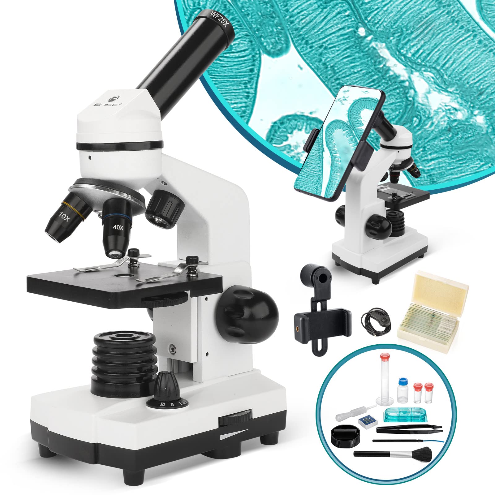 Bnise Microscopio per Bambini 100X-1000x