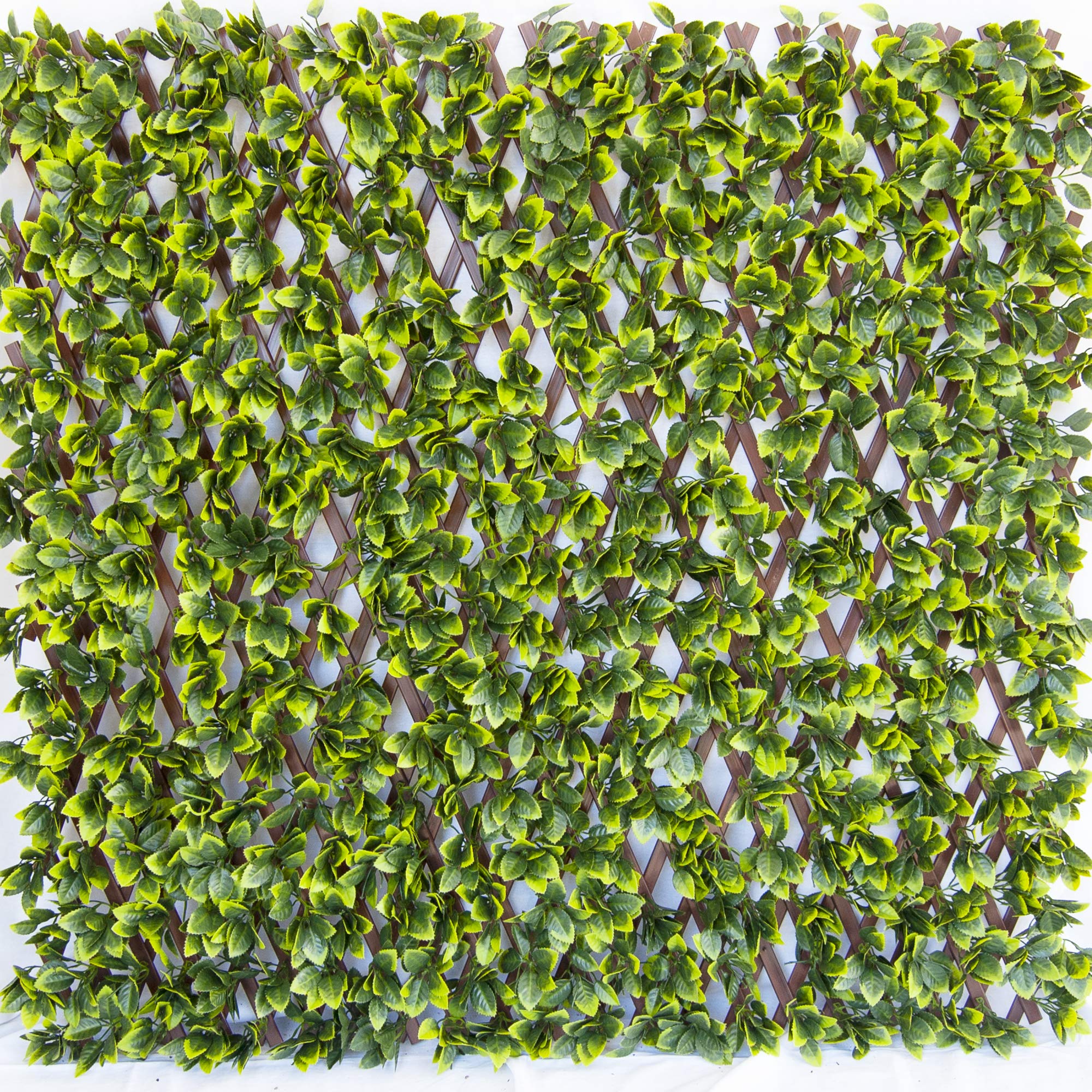 Tenax Siepe Artificiale con Foglie 3D su Traliccio PVC 1x2m