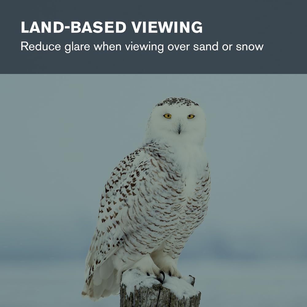 Celestron 94119-A Filtro Lunare 3 cm, Nero - immagine 3