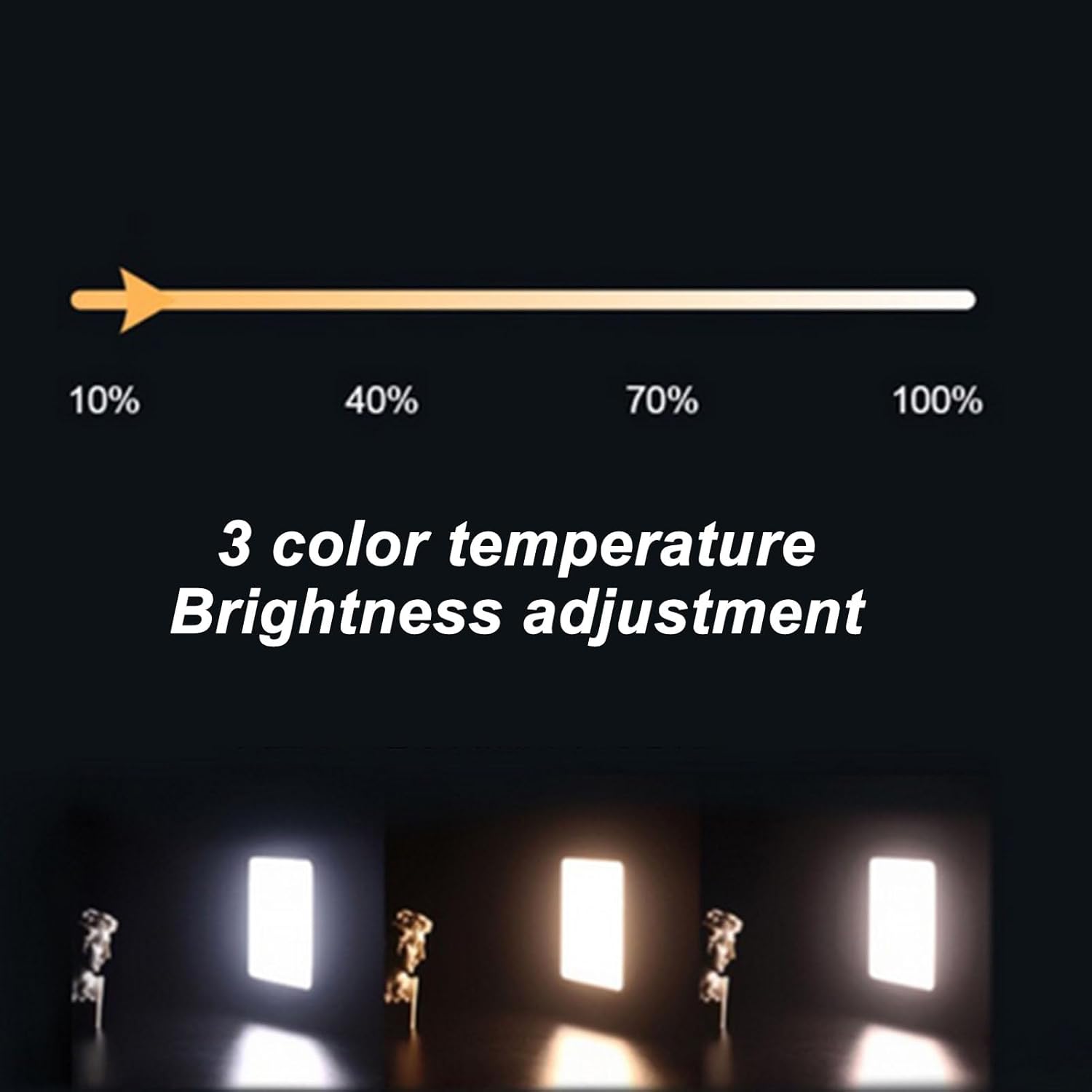 Luce per Tatuaggi e Selfie con Filtro Polarizzatore - immagine 2