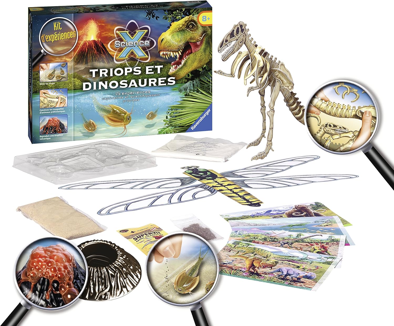Ravensburger Italy Triops e Dinosauri Nuova Versione - immagine 2