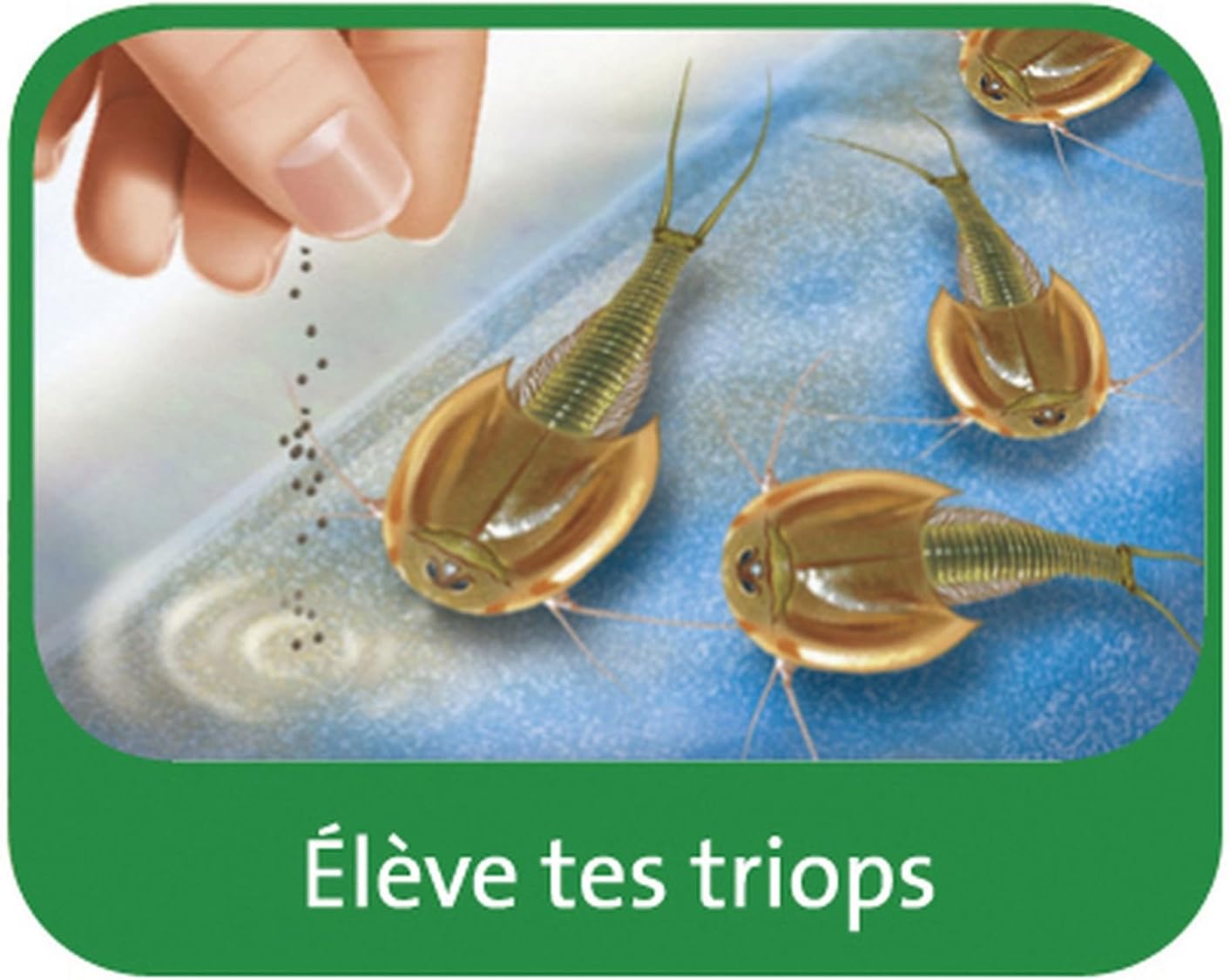 Ravensburger Italy Triops e Dinosauri Nuova Versione - immagine 4