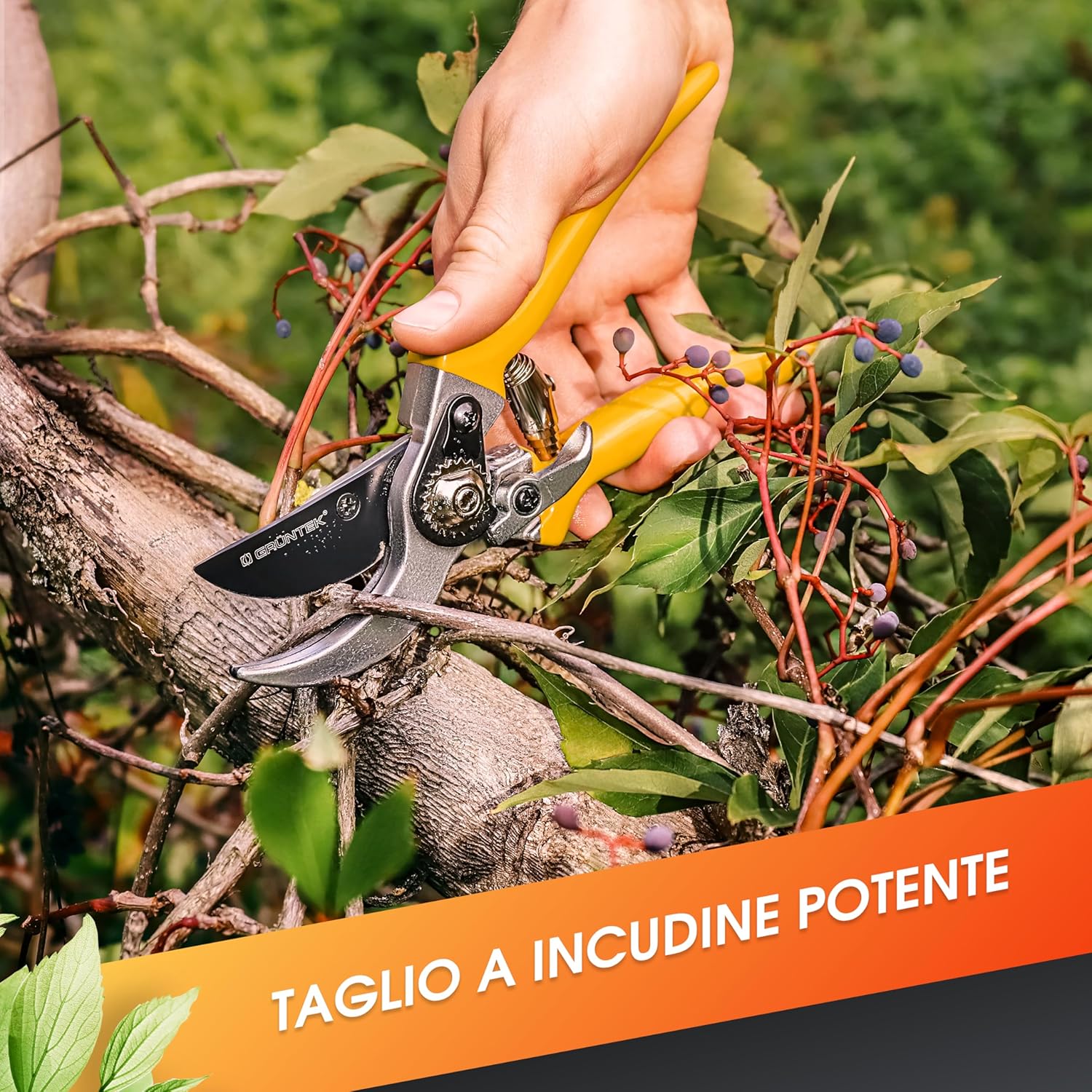 Grüntek Forbici Cesoie da Potatura Professionali Specht - immagine 5