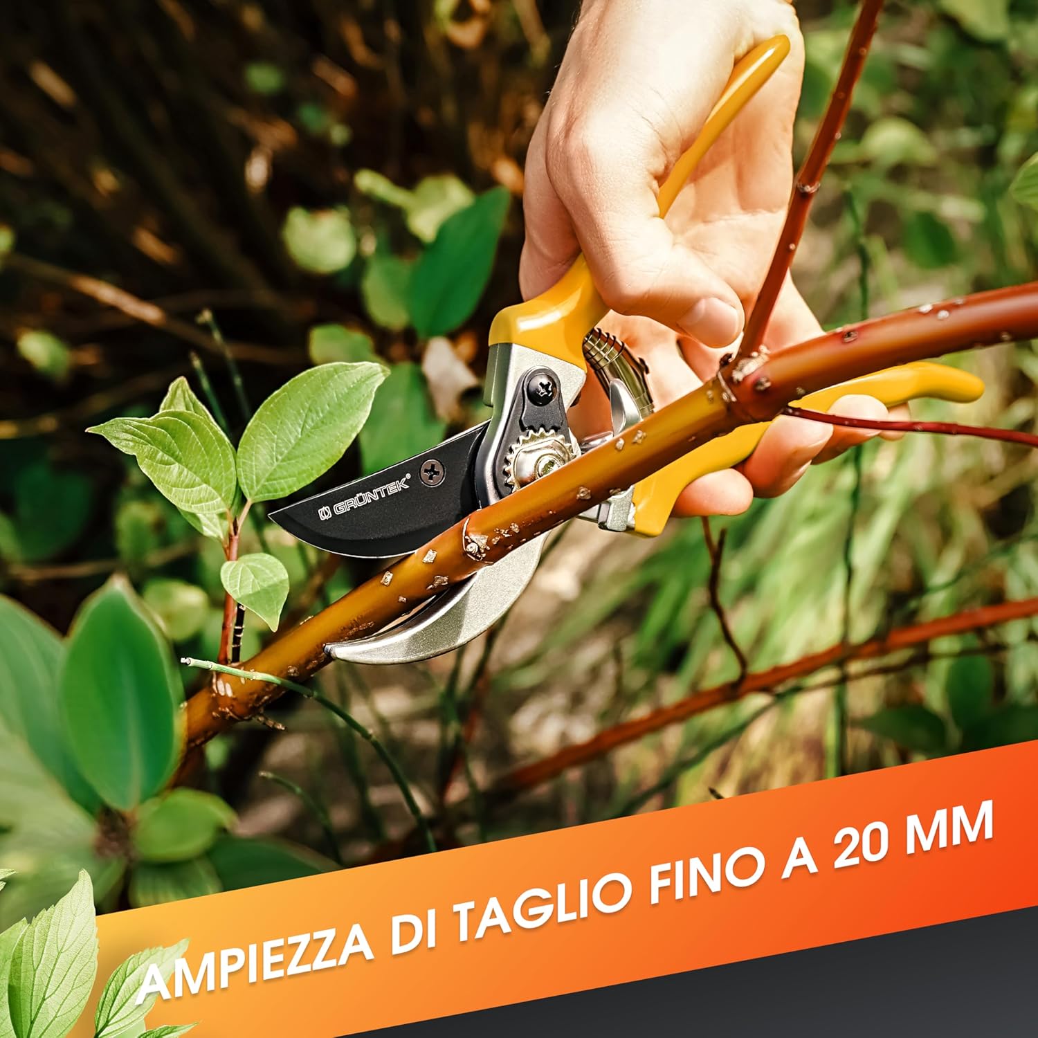 Grüntek Forbici Cesoie da Potatura Professionali Specht - immagine 6