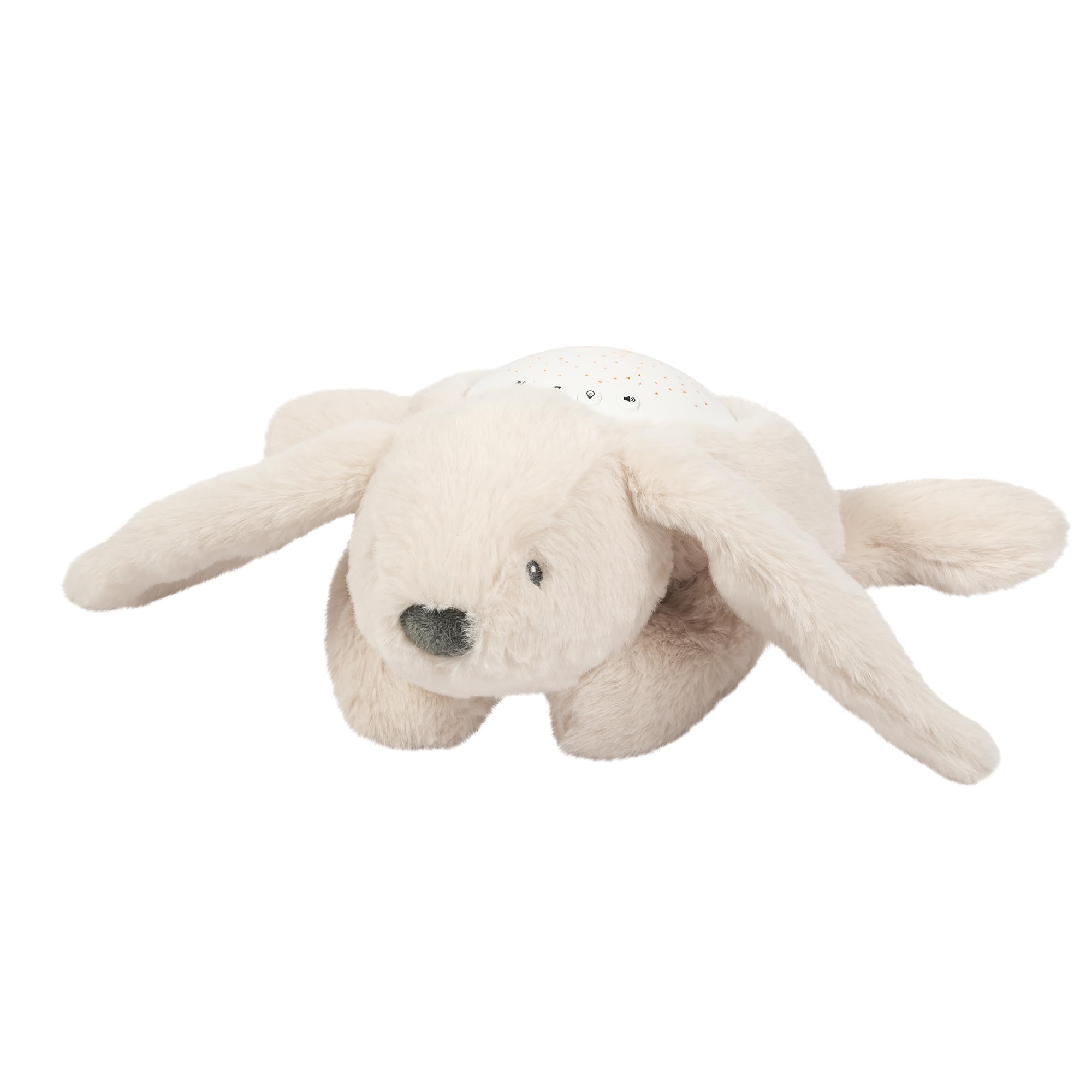 Nattou Luce Notturna LED Orso Koala, 26cm Beige