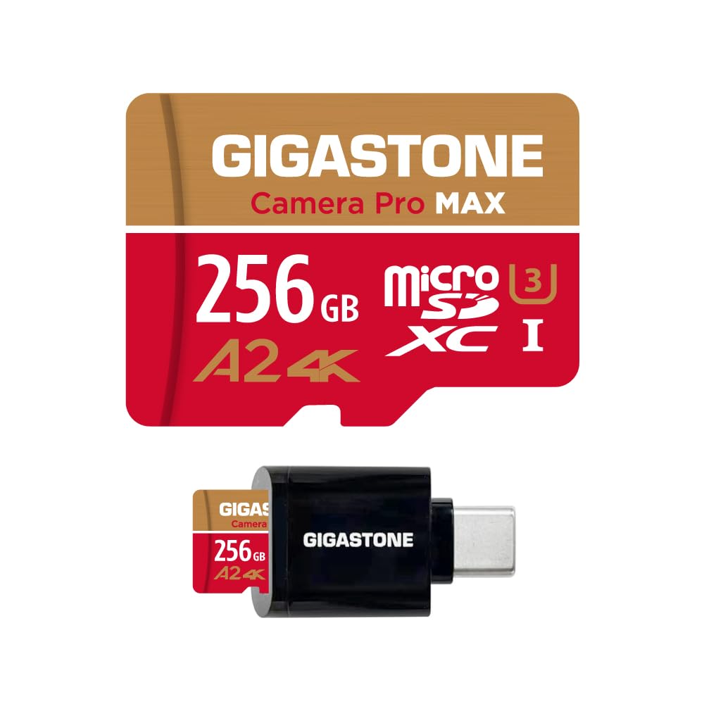 Gigastone 256GB Scheda MicroSD A2 V30 con Lettore USB-C