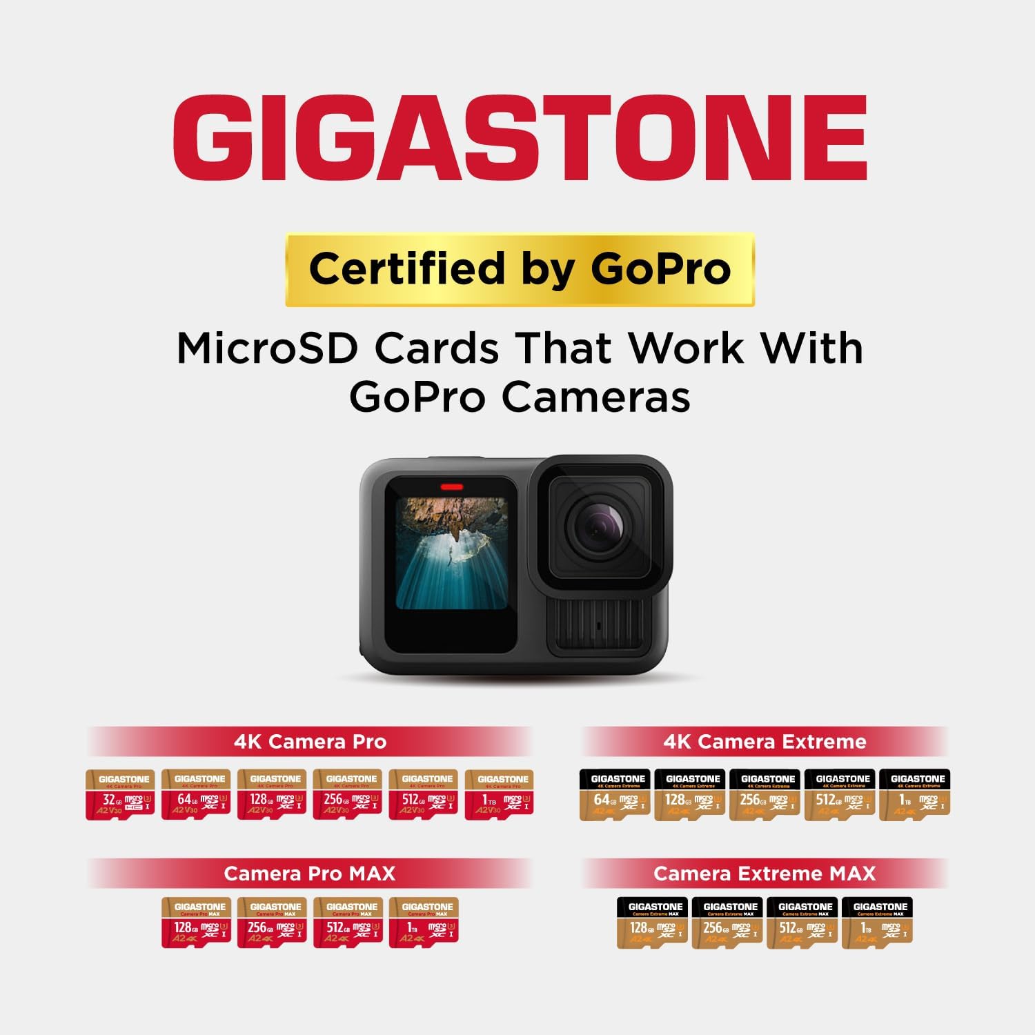 Gigastone 256GB Scheda MicroSD A2 V30 con Lettore USB-C - immagine 4