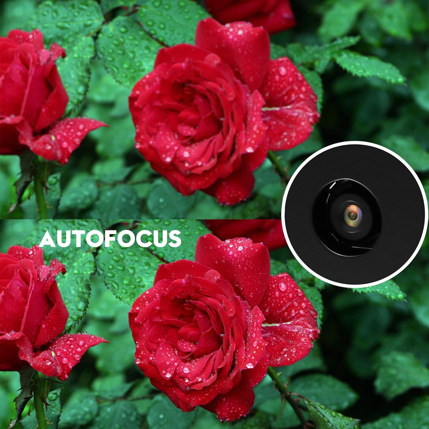 Svpro Telecamera USB Autofocus 16 MP 4K - immagine 3