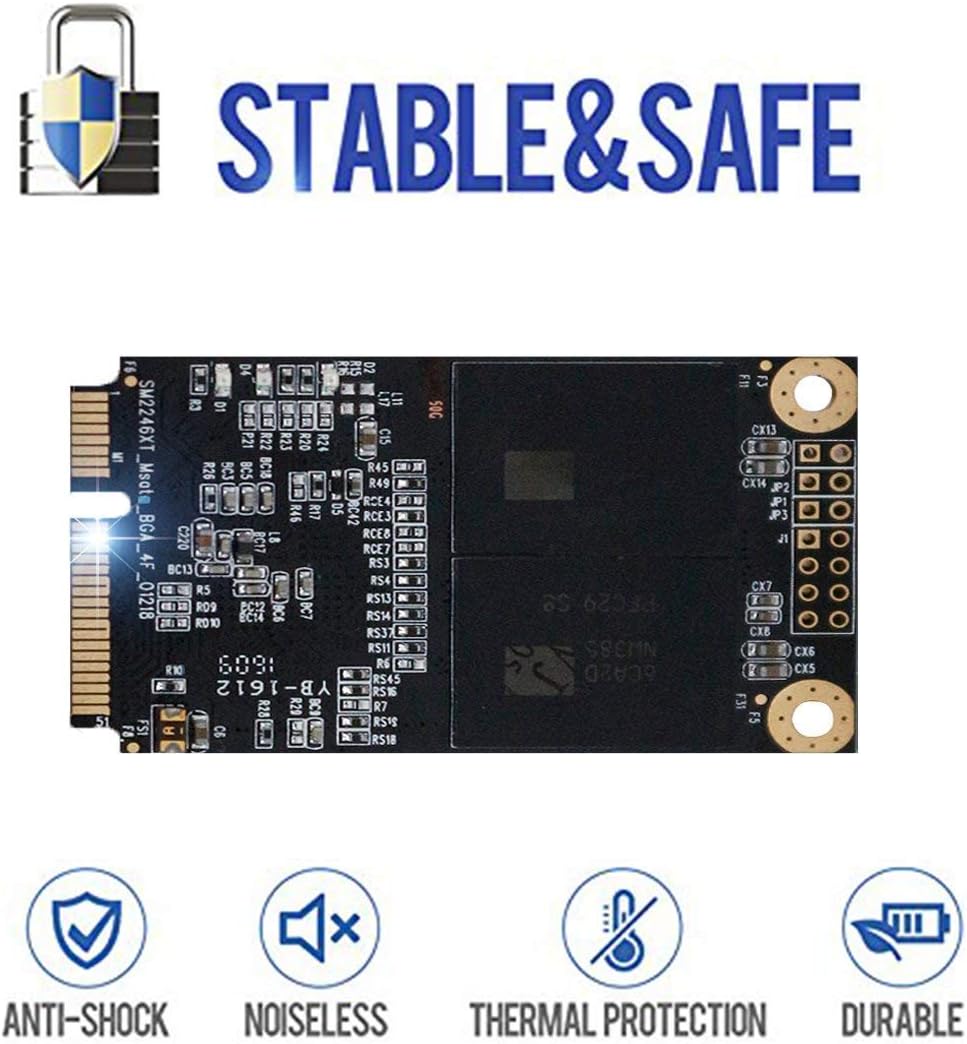 Dogfish Msata SSD 500GB - Internal Solid State Drive - immagine 4