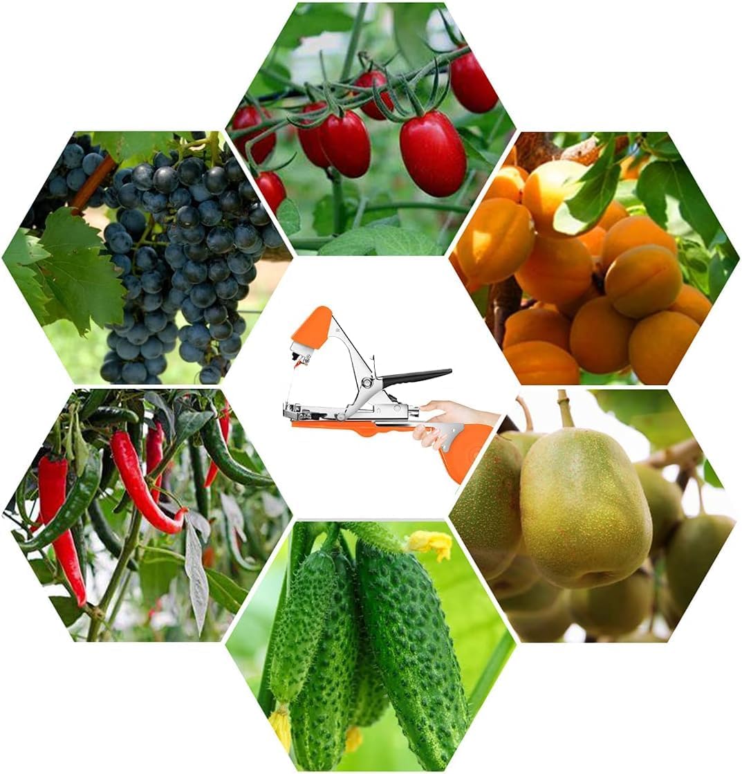 DrRobor Legatrice per Piante da Giardino, Arancia - immagine 6