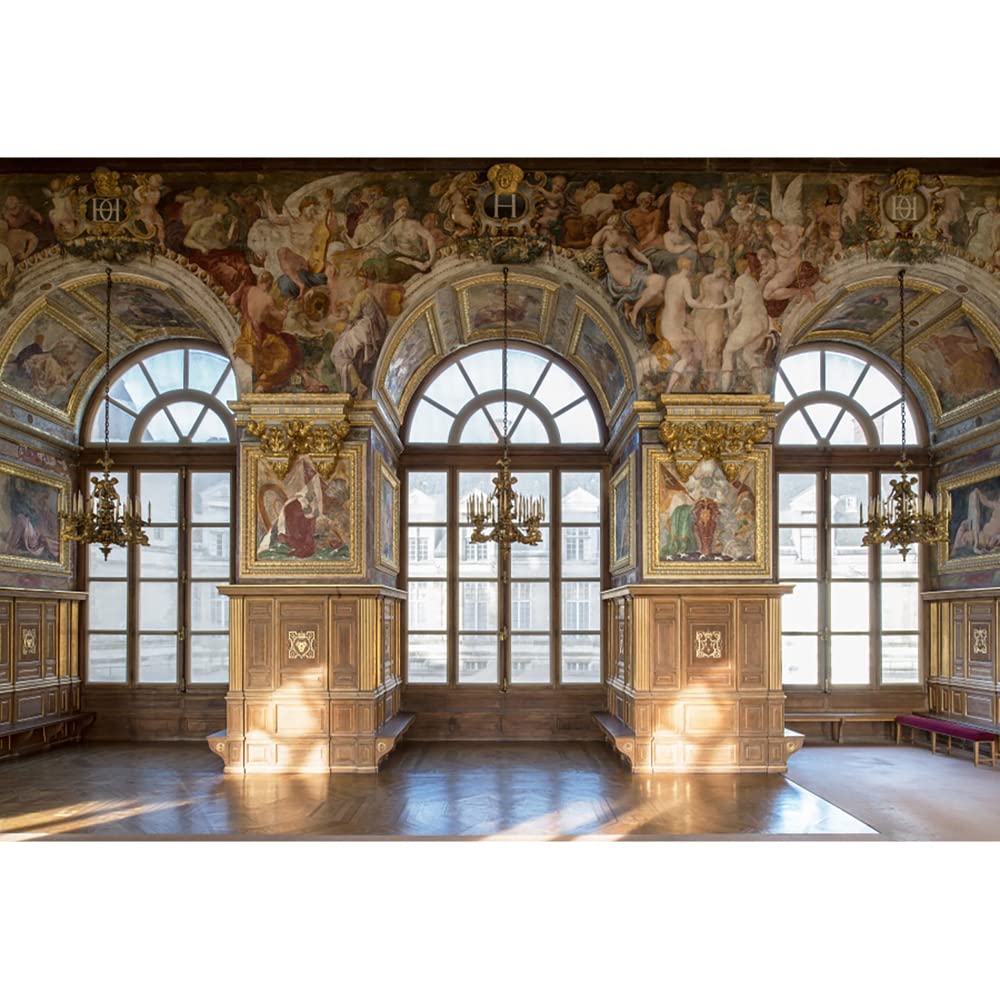 Aoihrraan Sfondo Fotografico Fontainebleau Palazzo 3,5x2,5m