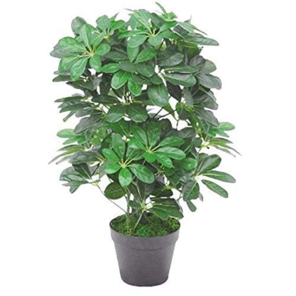 Schefflera Arboricola Artificiale - Pianta Ombrello 55cm