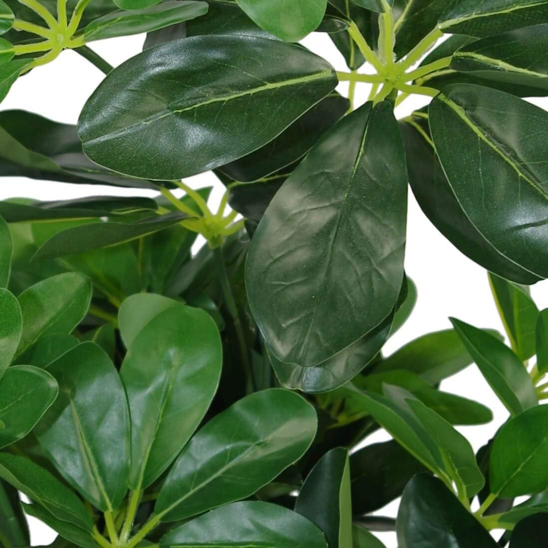 Schefflera Arboricola Artificiale - Pianta Ombrello 55cm - immagine 2