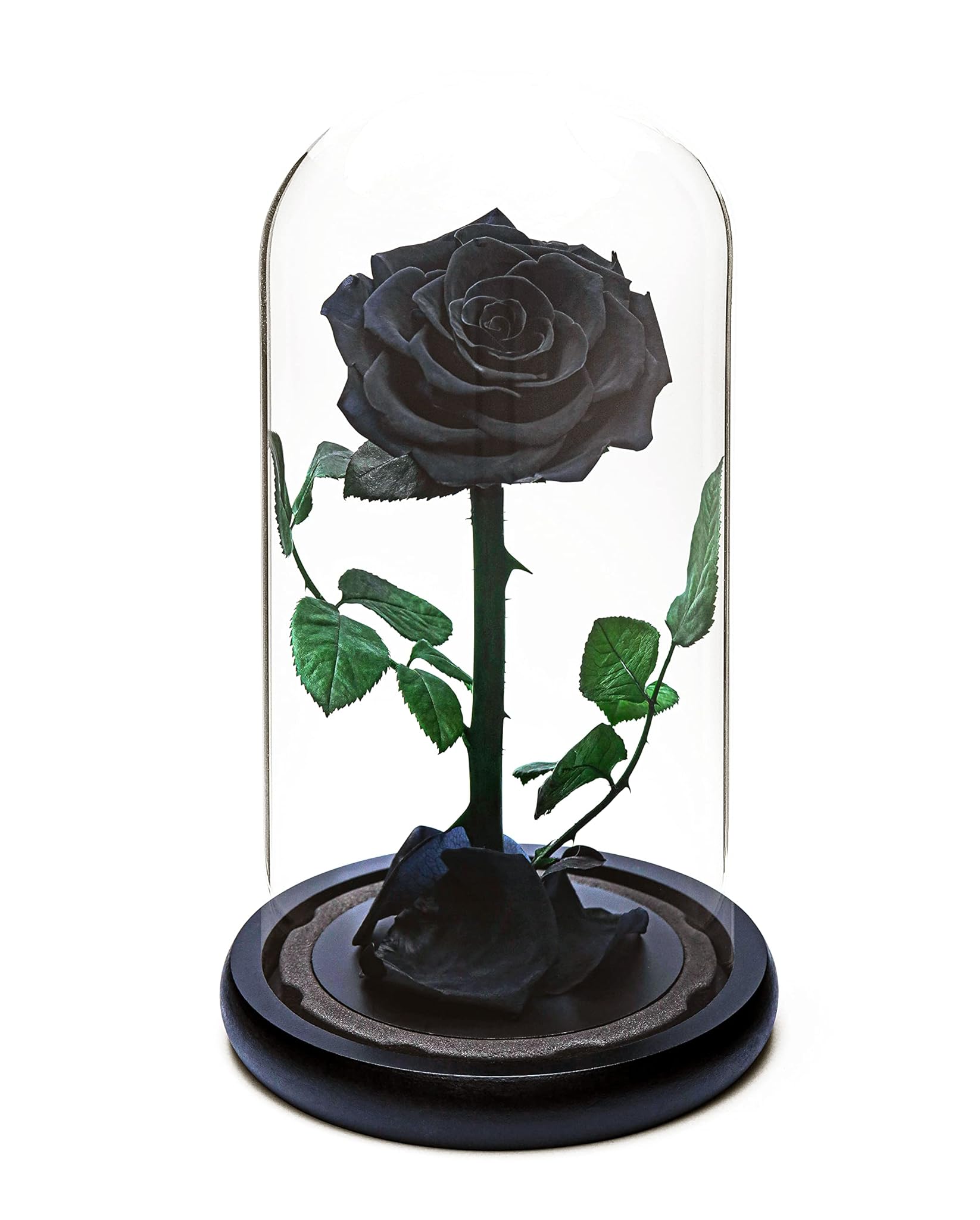 Rosa Eterna per Sempre - Regalo di Rose Fresche