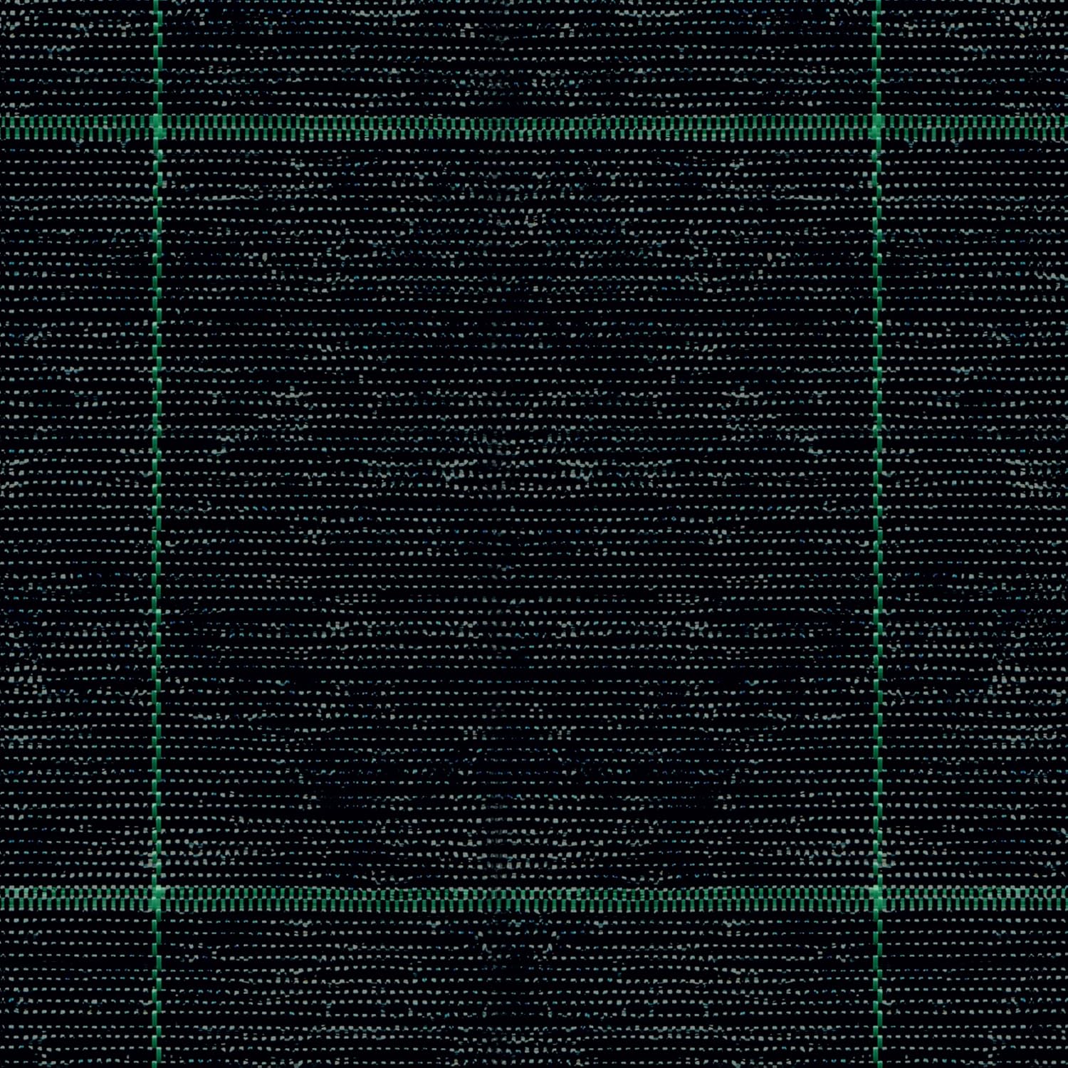 TENAX Cover Pro 1,65x100 m Nero, Telo Antierbacce Professionale per Pacciamatura