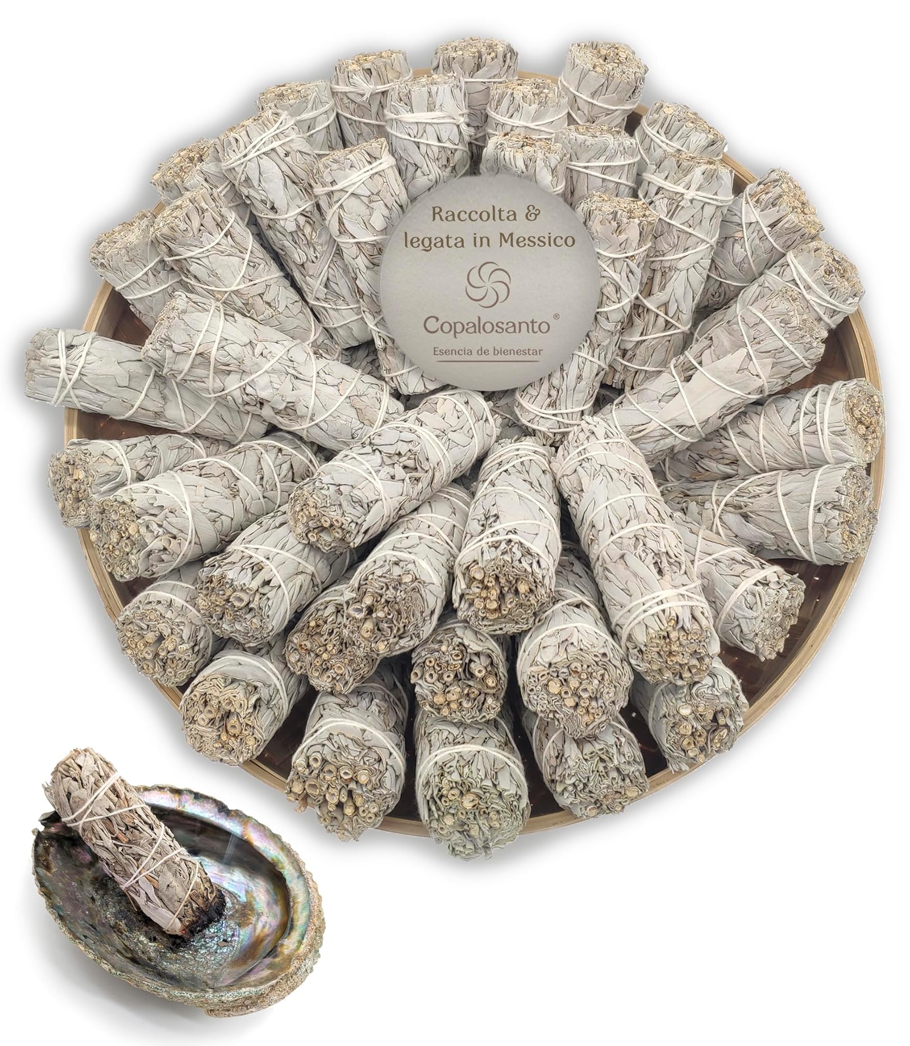 Salvia Bianca Legata 10cm per Pulizia Energetica (50 pz)