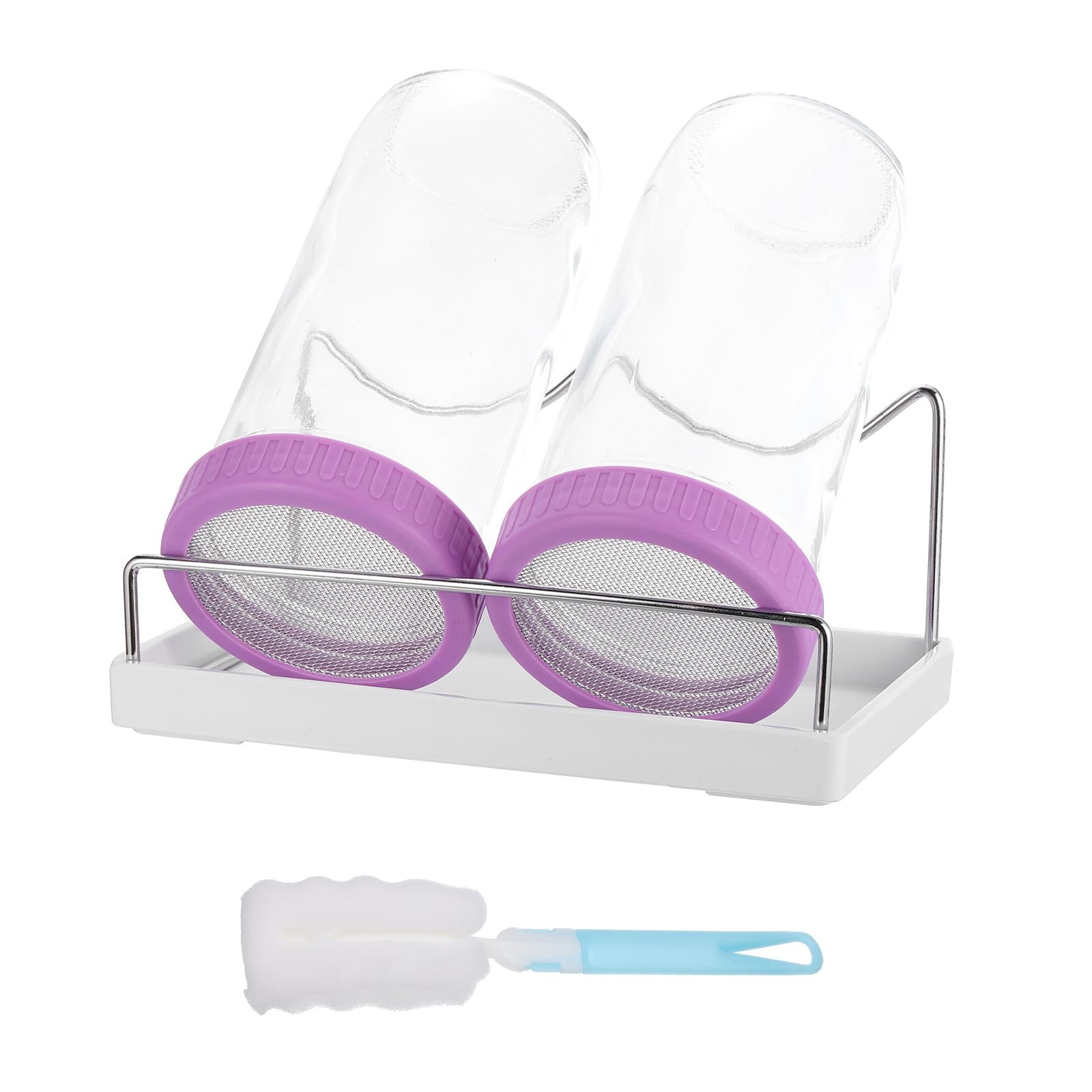 Quarkzman Barattolo Germogliatore Set 730ml - Viola