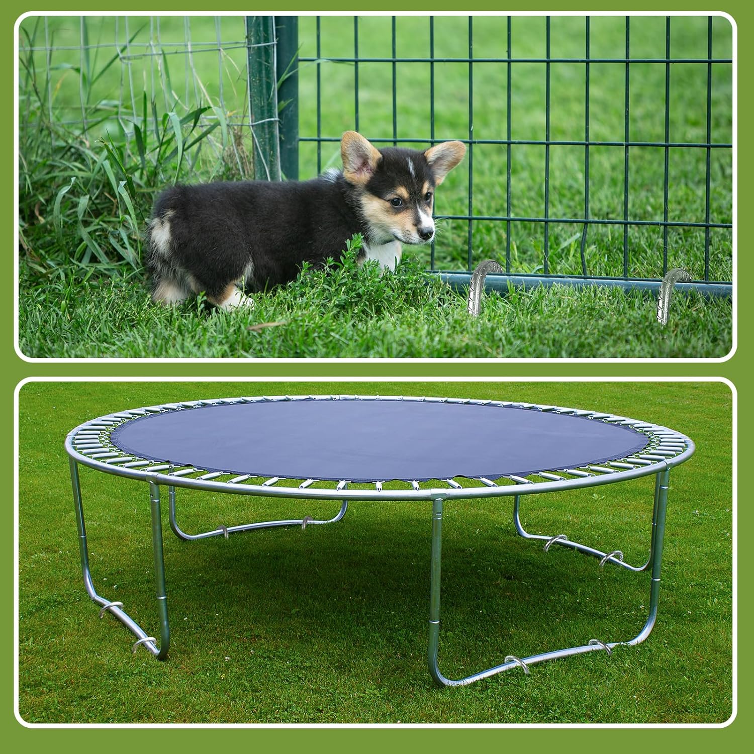 Graxury Tendalini per Trampolino 30cm con Picchetti - immagine 7