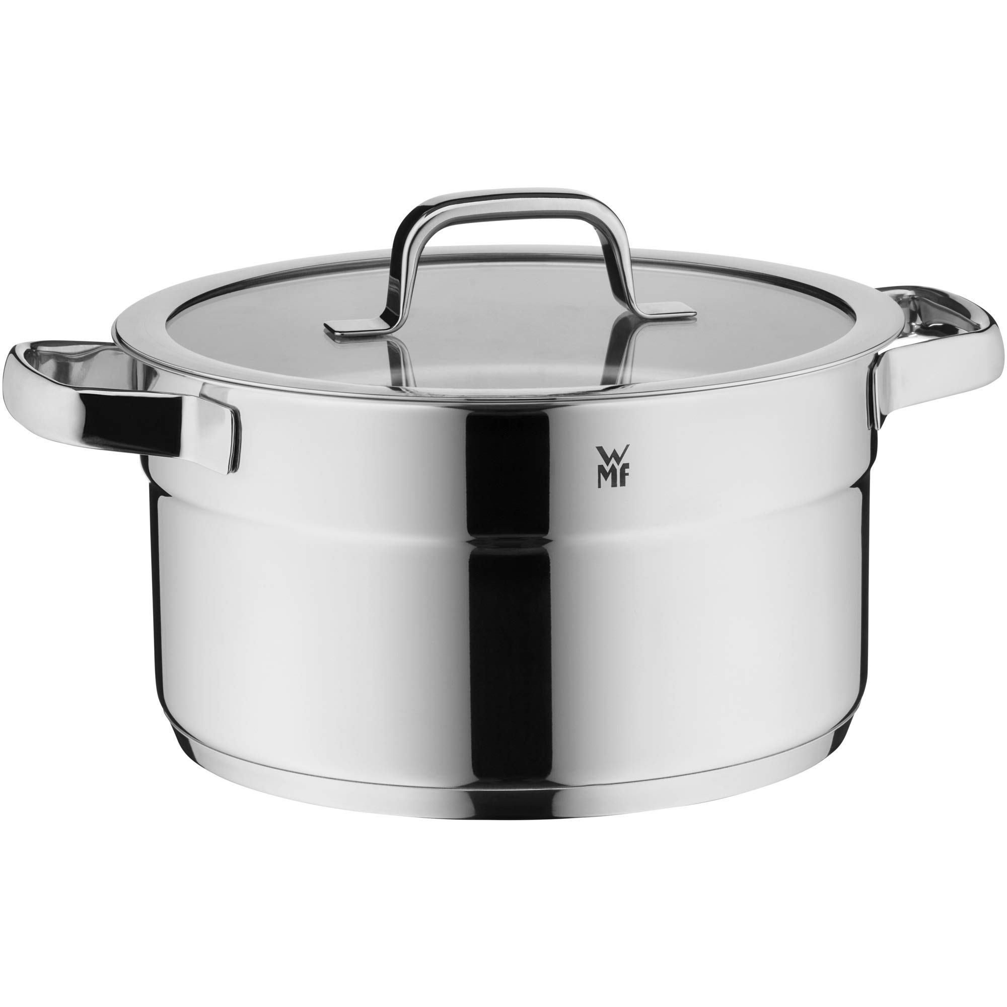 Wmf Compact Cuisine - Pentola Grande 24 cm 5.6L