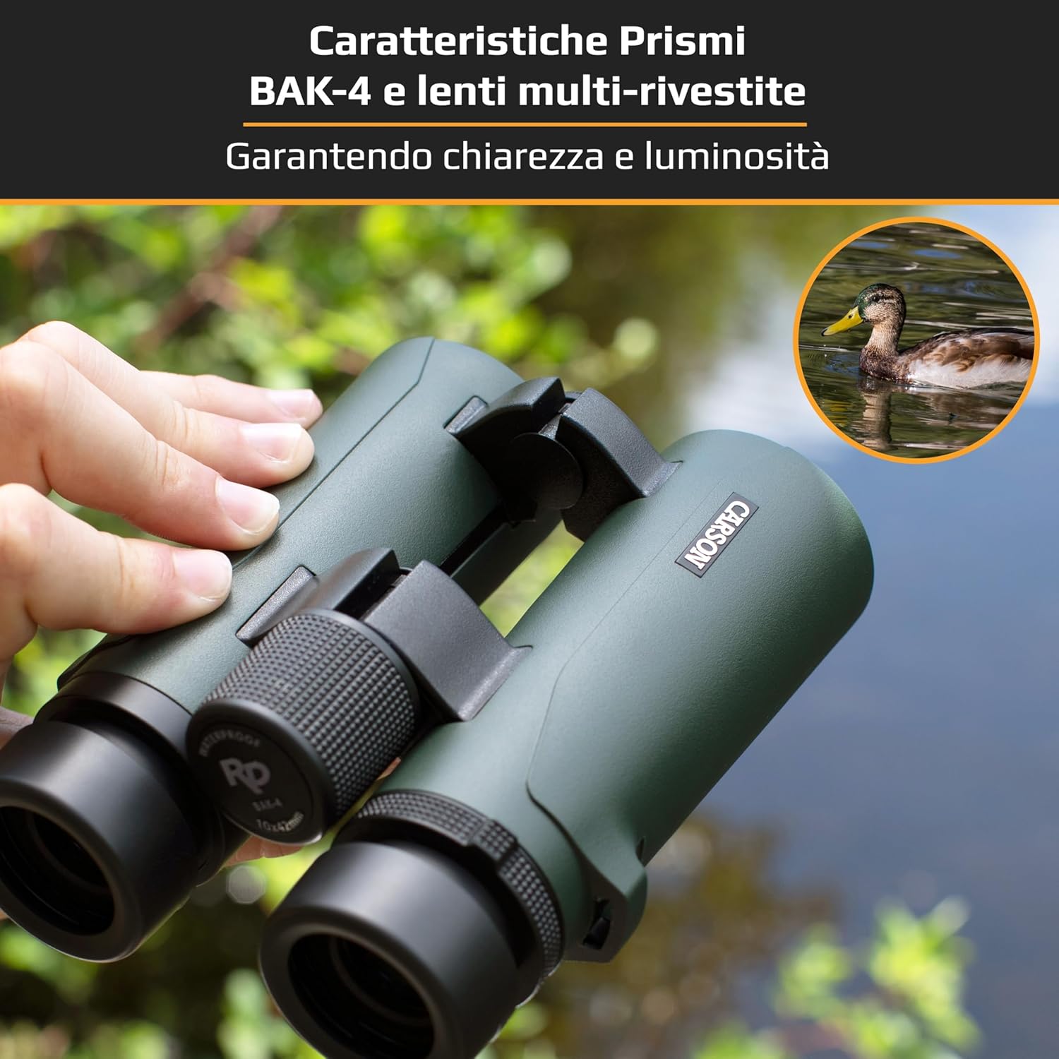 Carson RD-034 - Binocolo Compatto 10x34mm, Verde/Nero - immagine 4