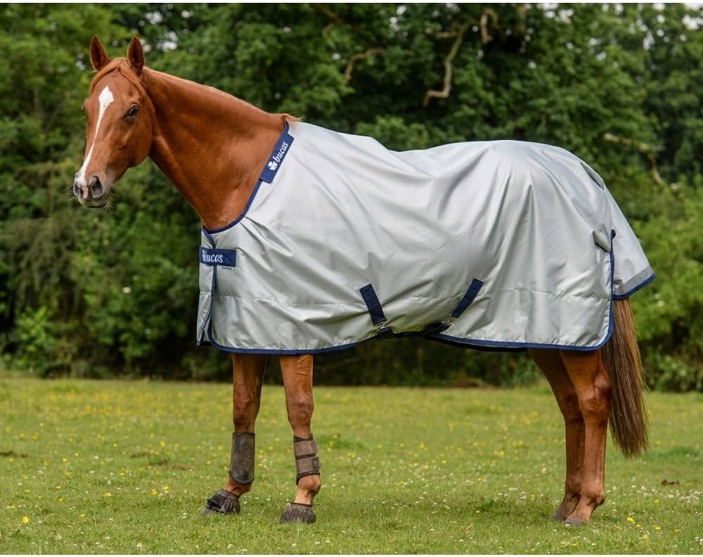 Bucas PowerTurnout Light, coperta per cavallo, colore argento 145 - immagine 4