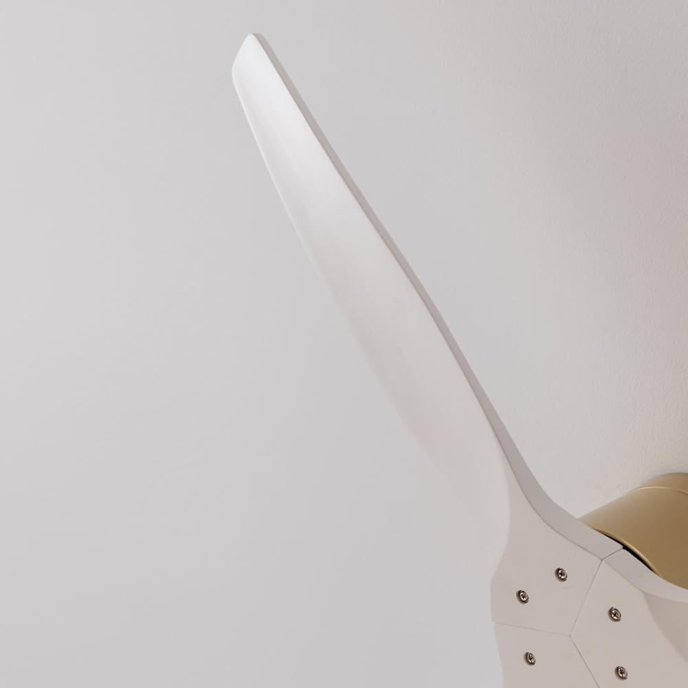 Cecotec Ventilatore Soffitto EnergySilence Aero 5500 - immagine 5